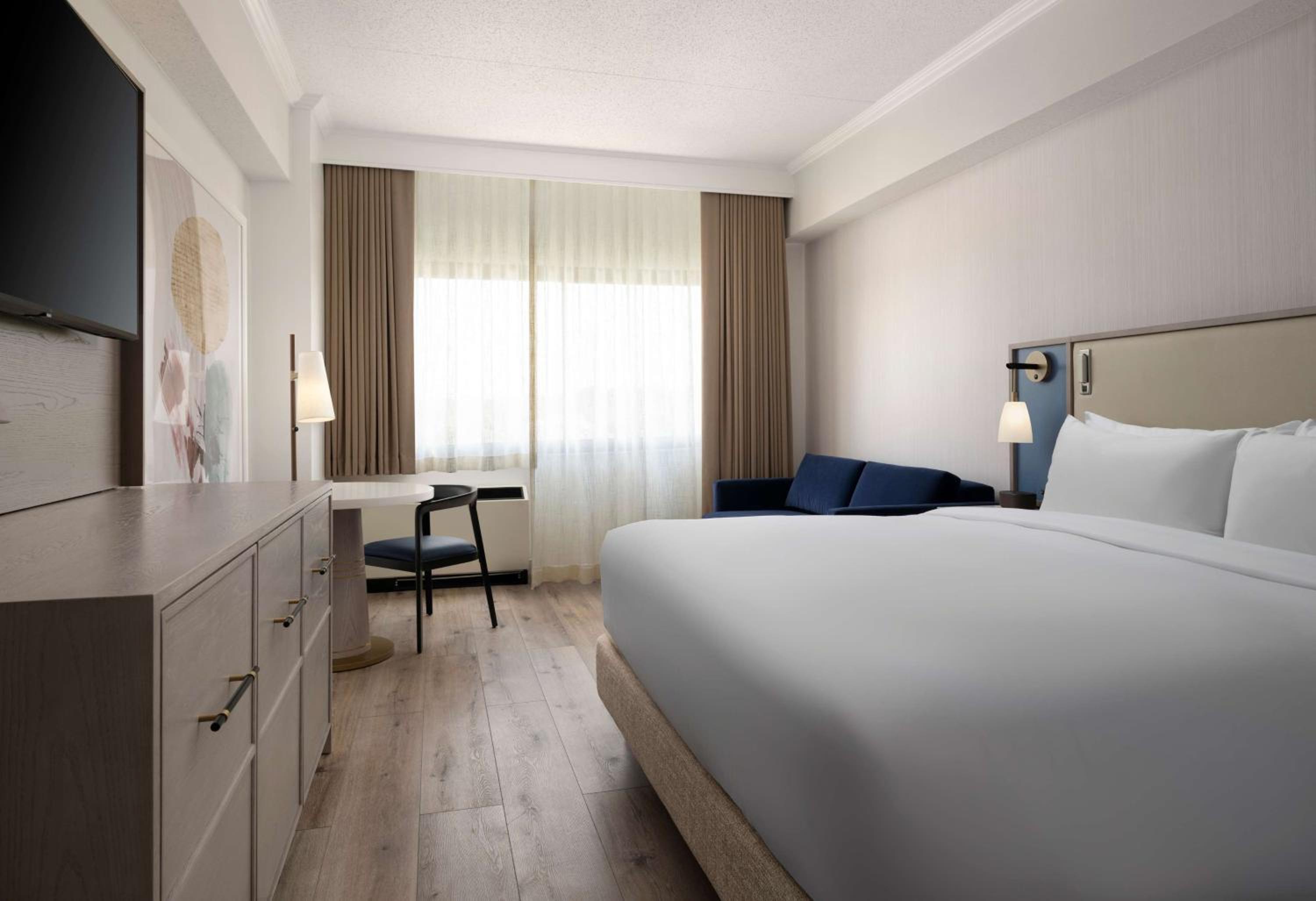 Luxury 1 Bedroom Suite