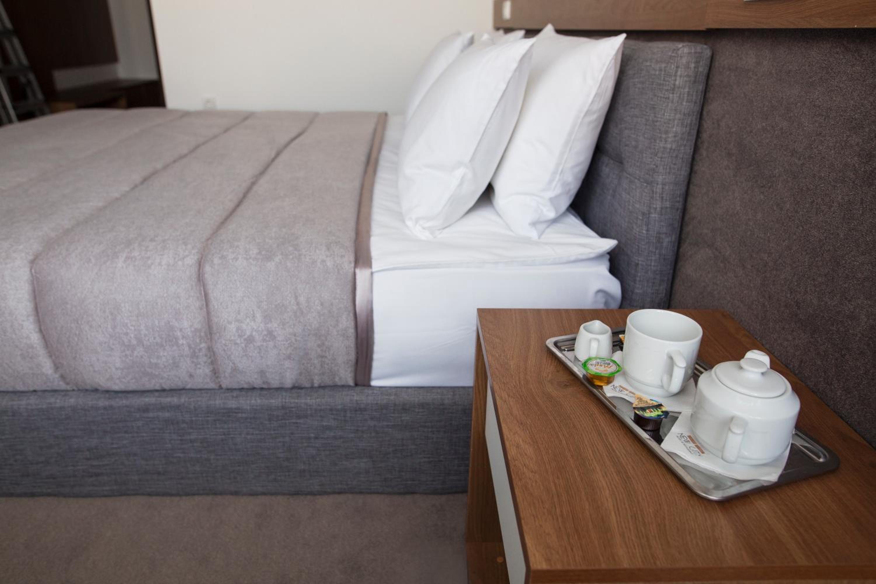 Deluxe One-Bedroom Apartment