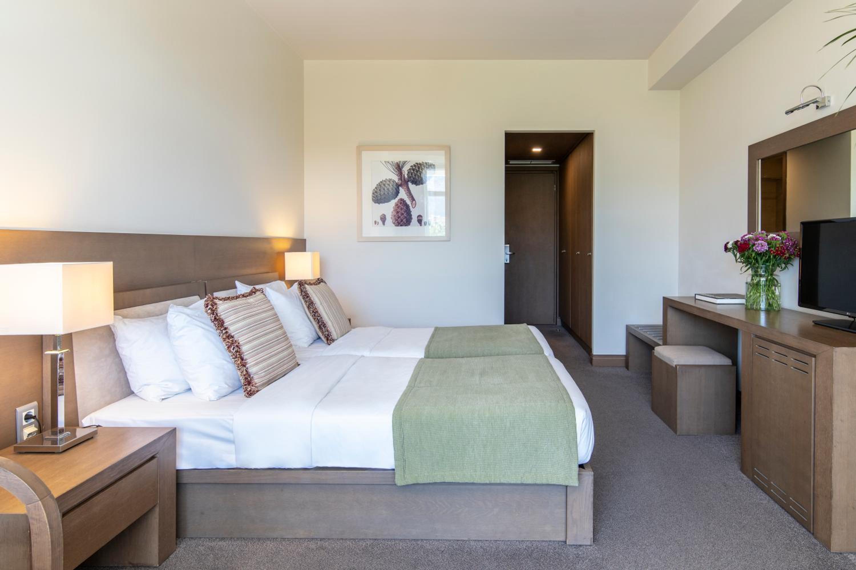 Deluxe Double or Twin Room with Balcony