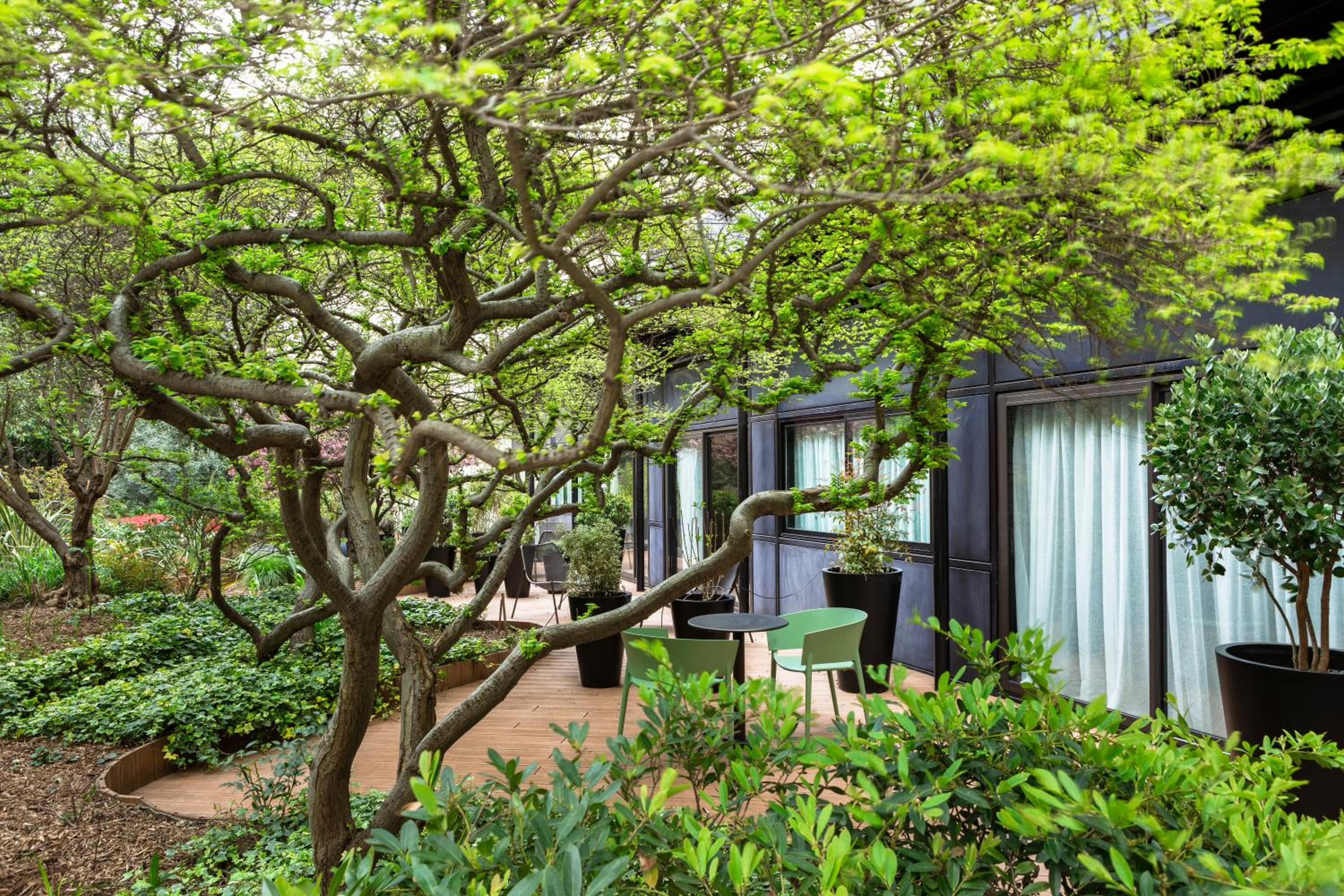 Junior Suite with Terrace