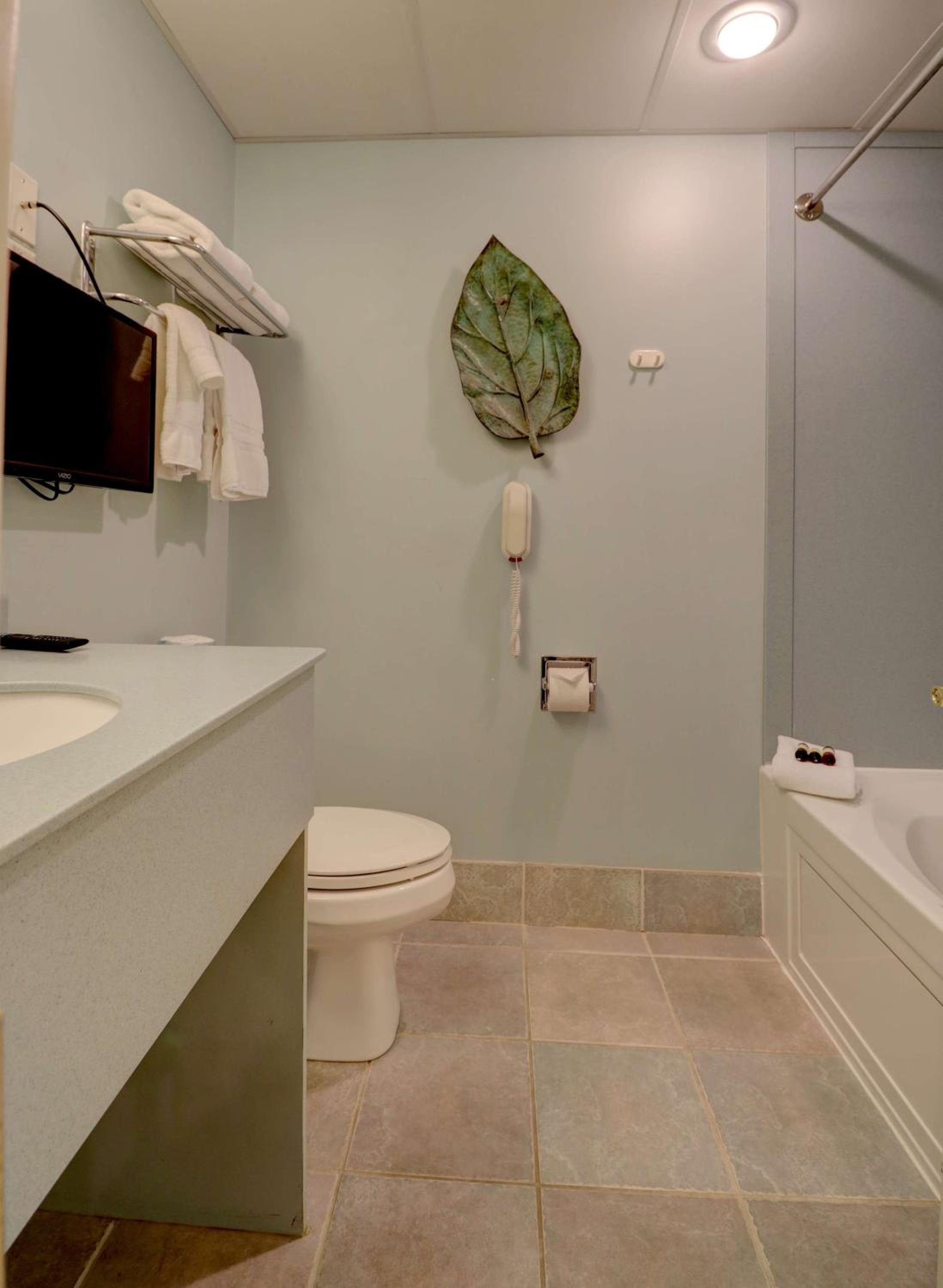 Spa Suite 1 King 