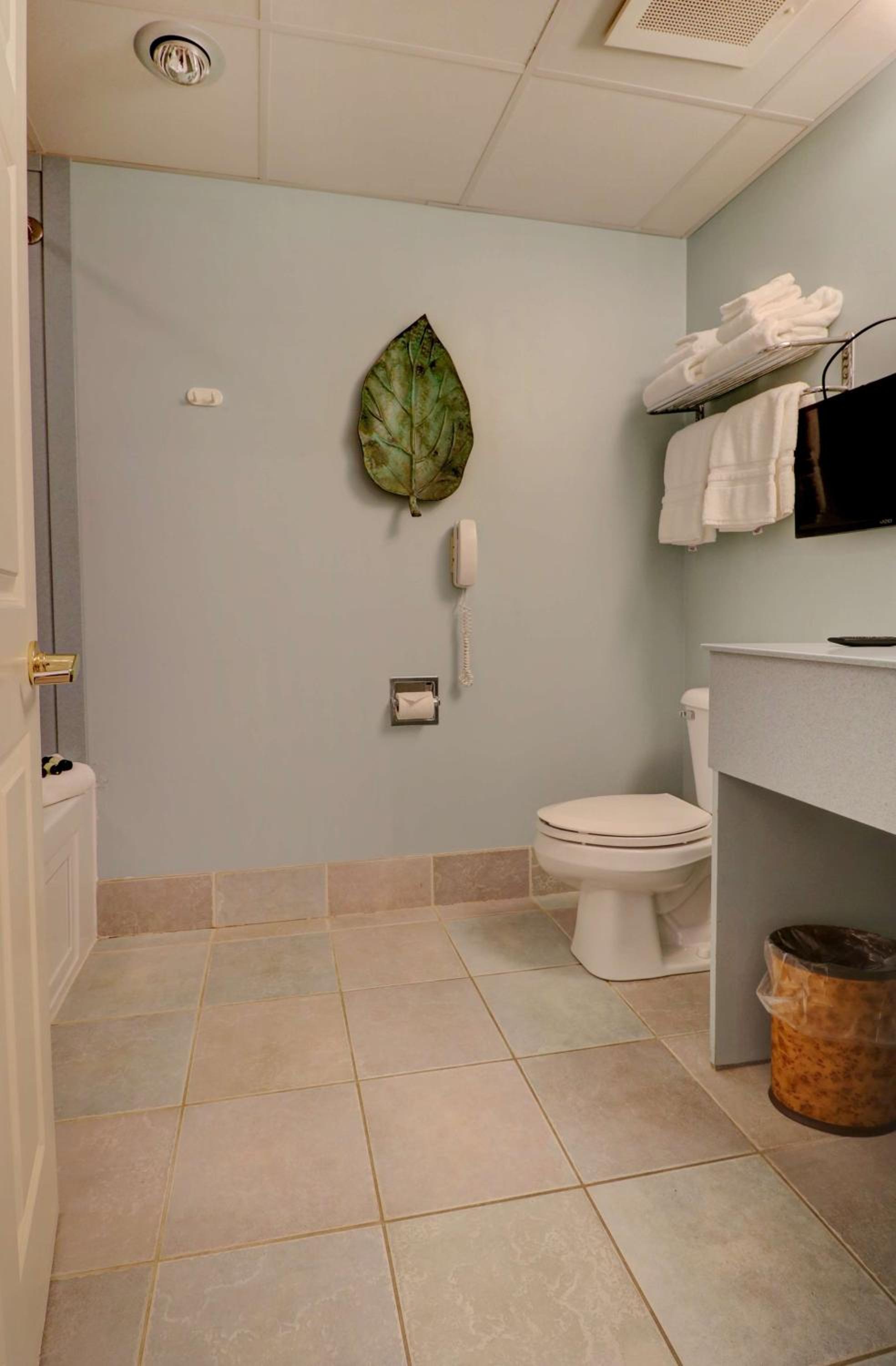 Spa Suite 1 King 