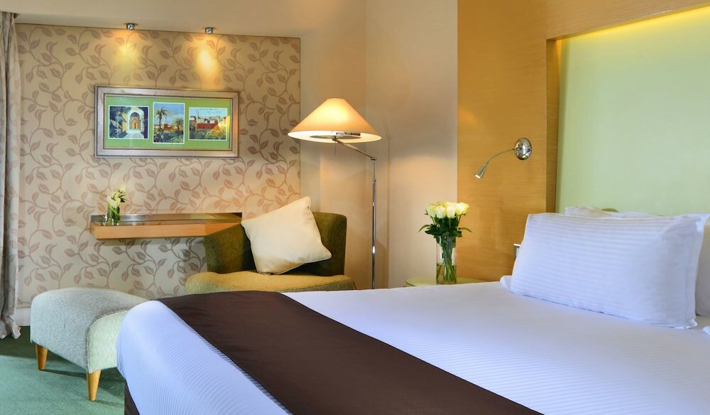 Premium Room, 1 King Bed, River View (High Floor, Partial Nile View)