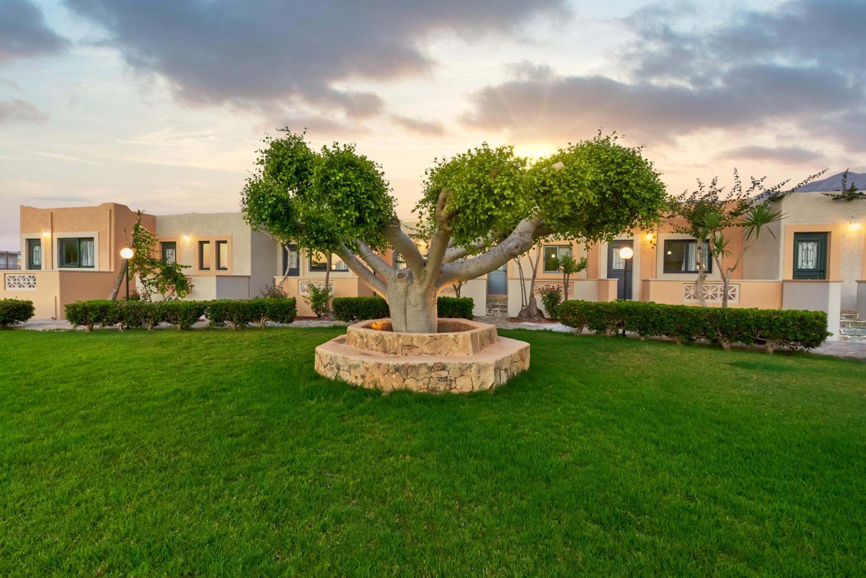 Studio with Garden View