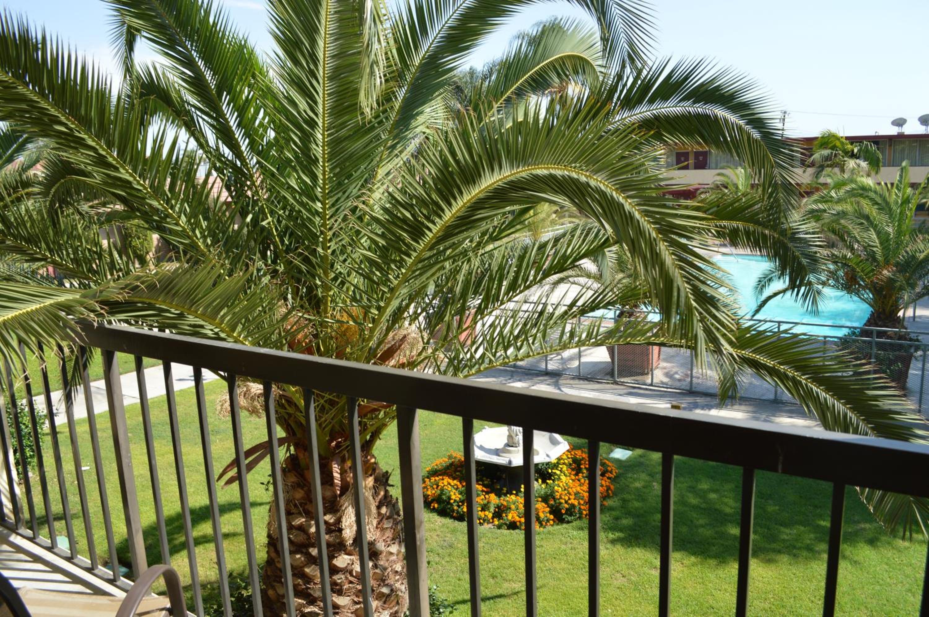 King Room with Balcony