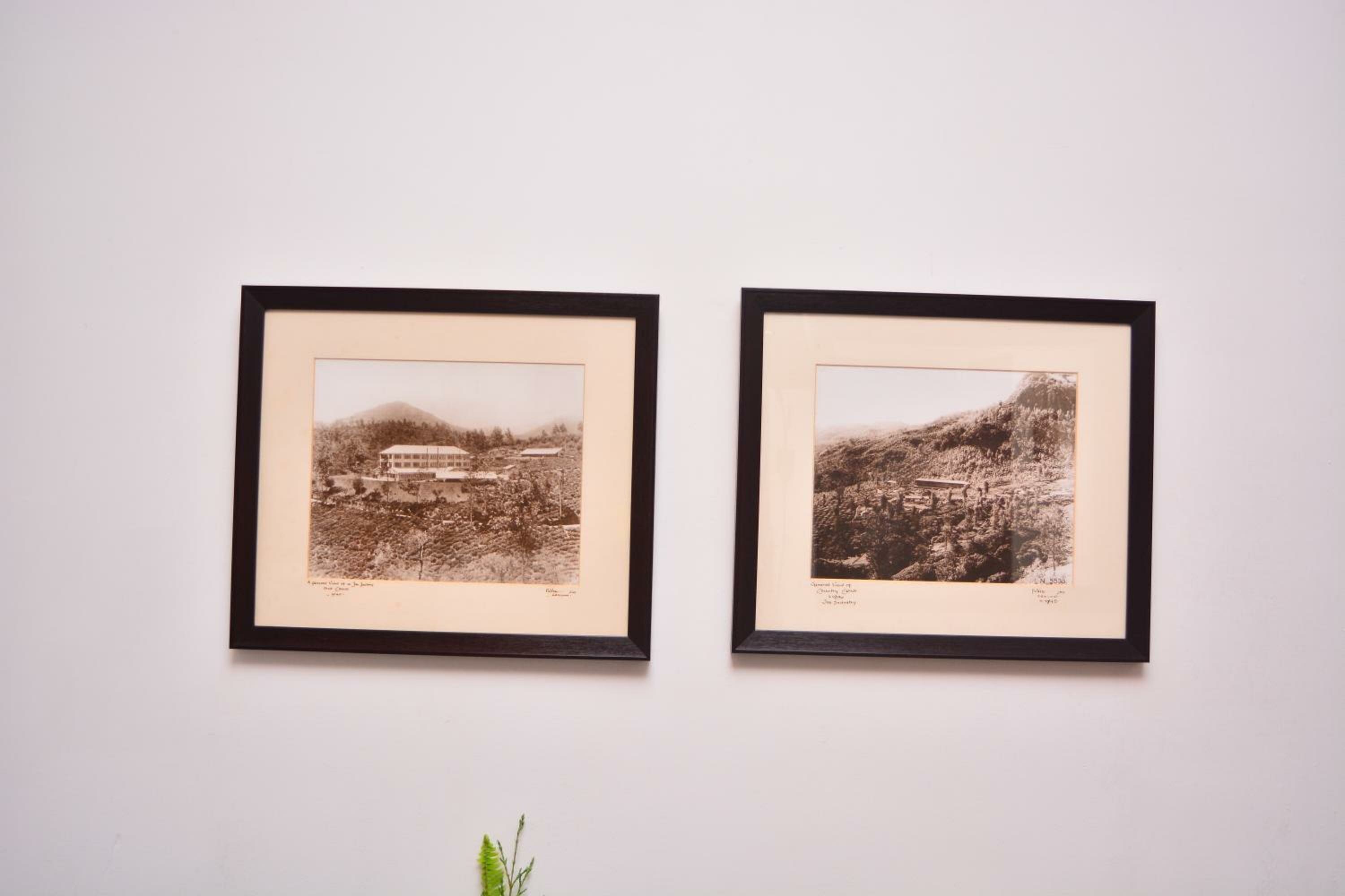 Standard Attic Double Room - [Not Suitable for those physically challenged]