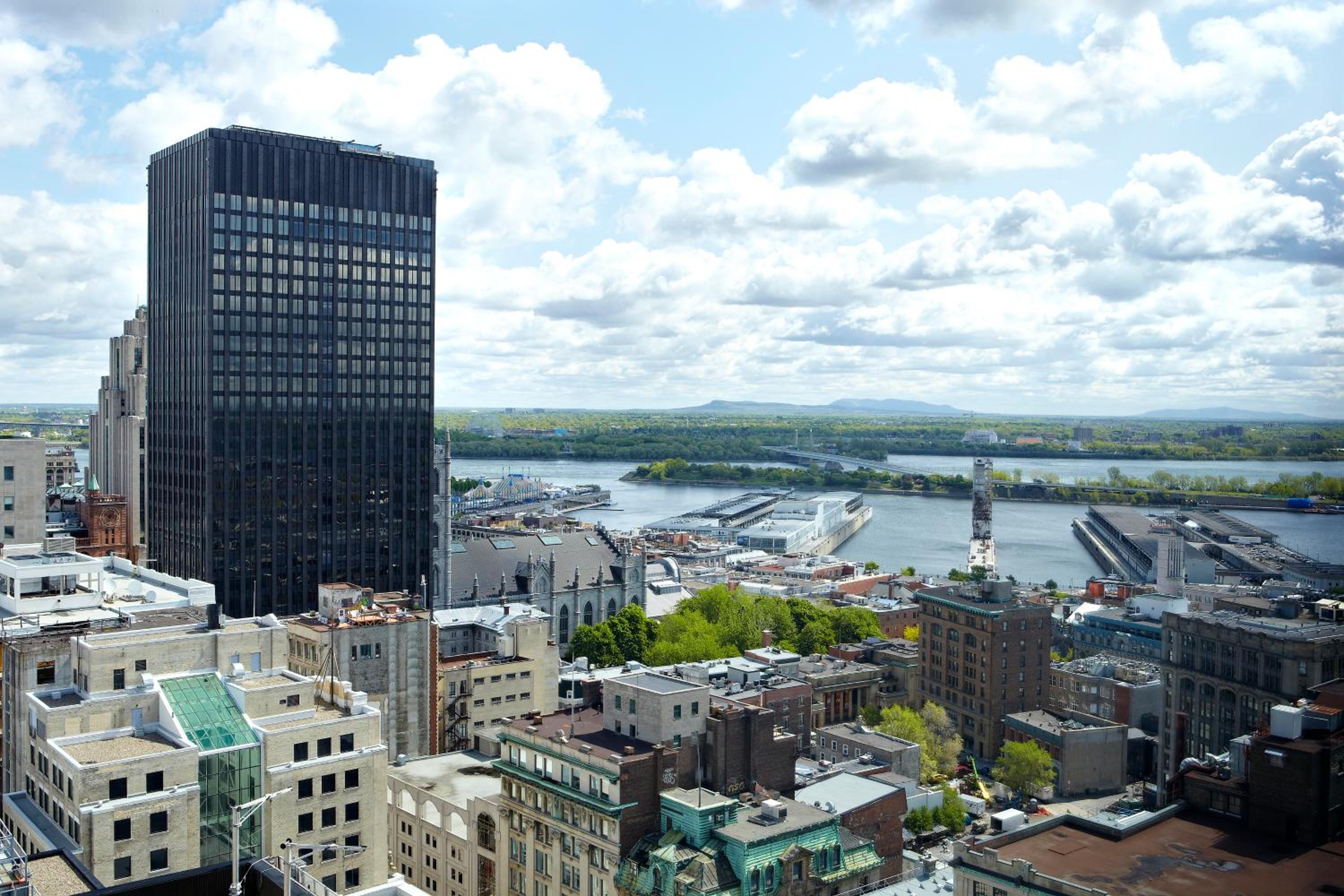 King Suite with View