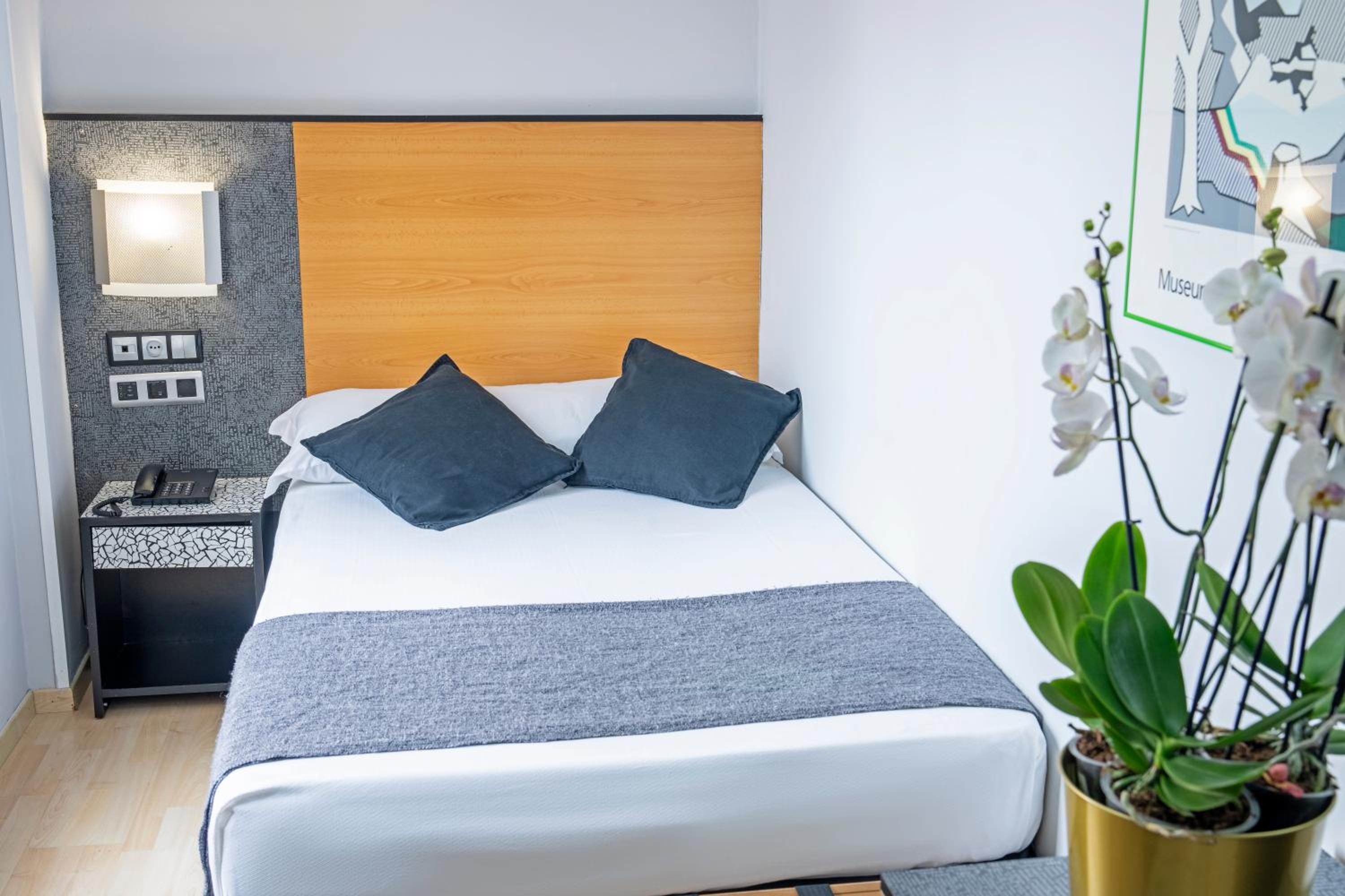 1 single bed