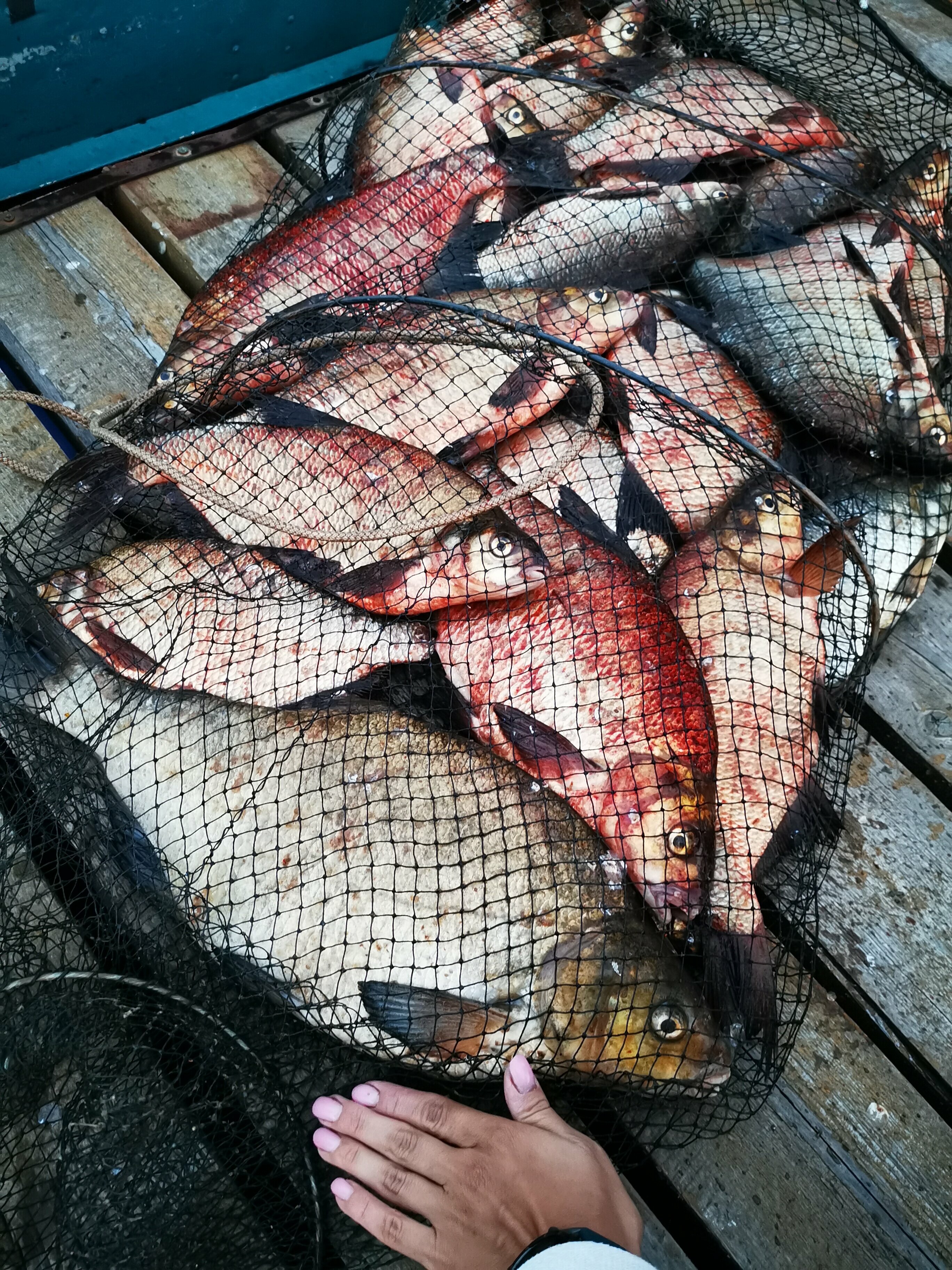 Апартаменты - 1-й этаж