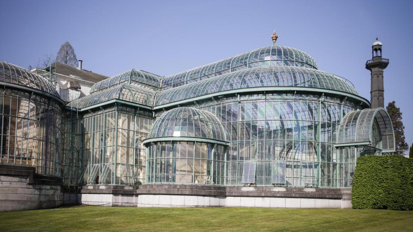 Studio