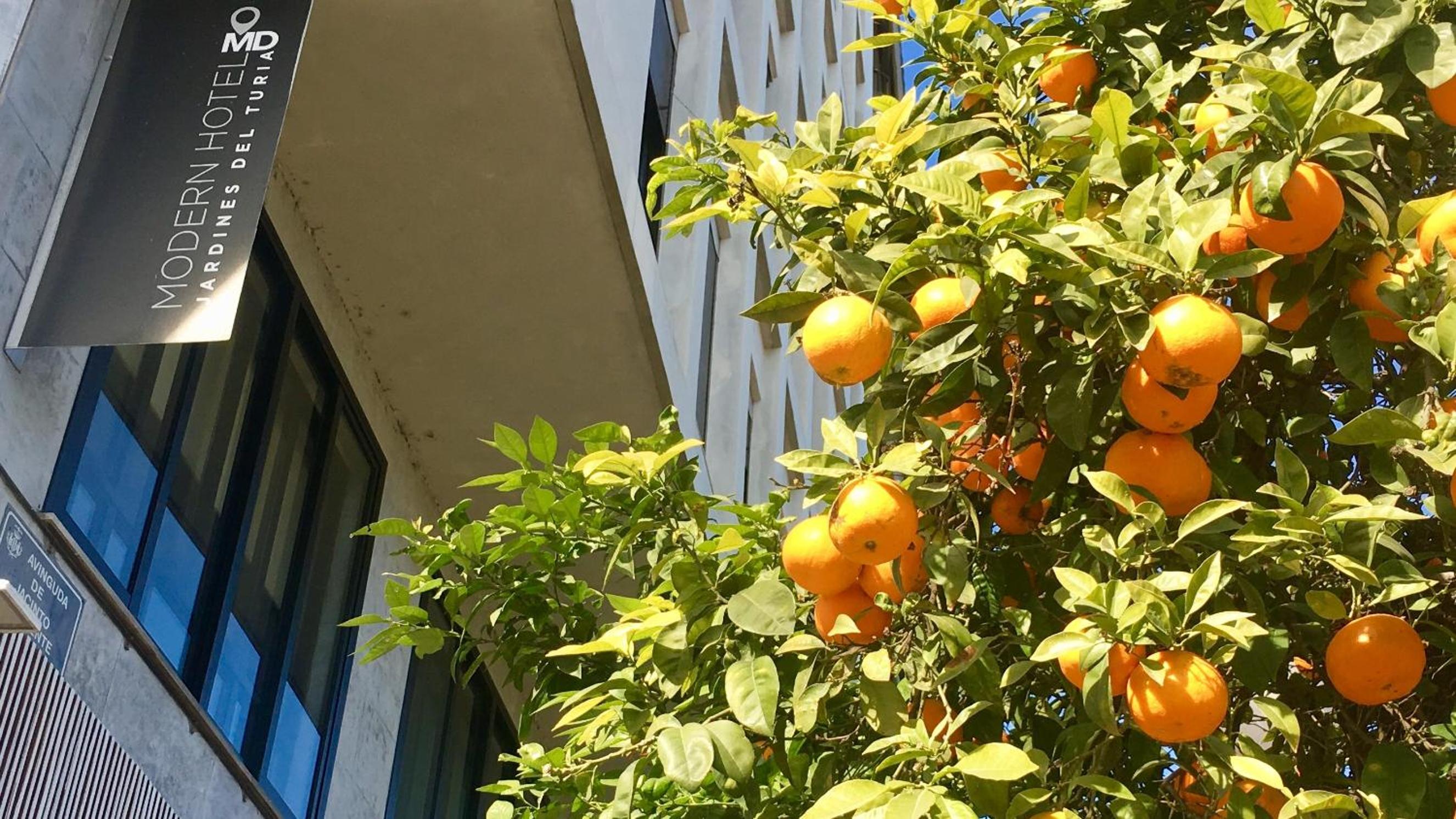 Superior Double Room with Views