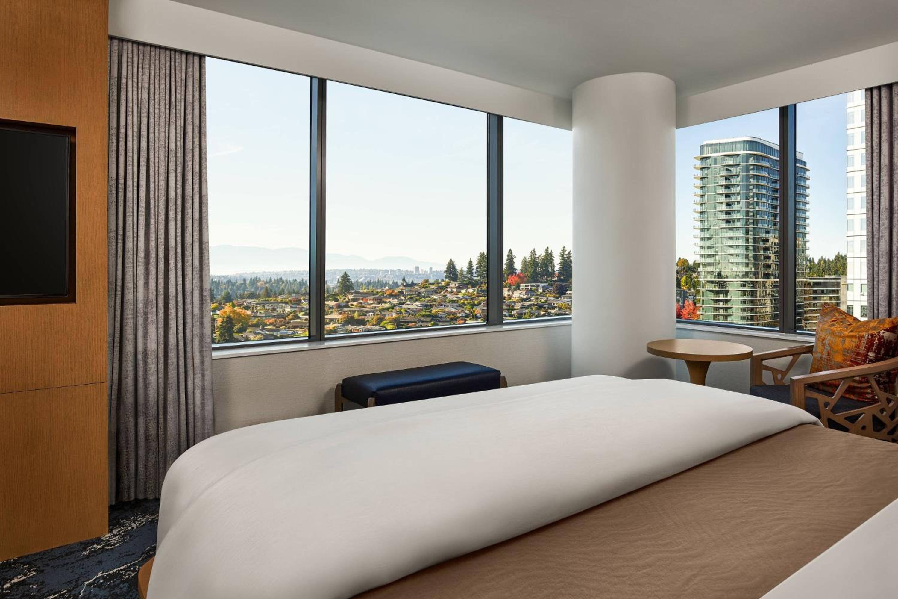 Executive Suite, 1 King, Sofa bed