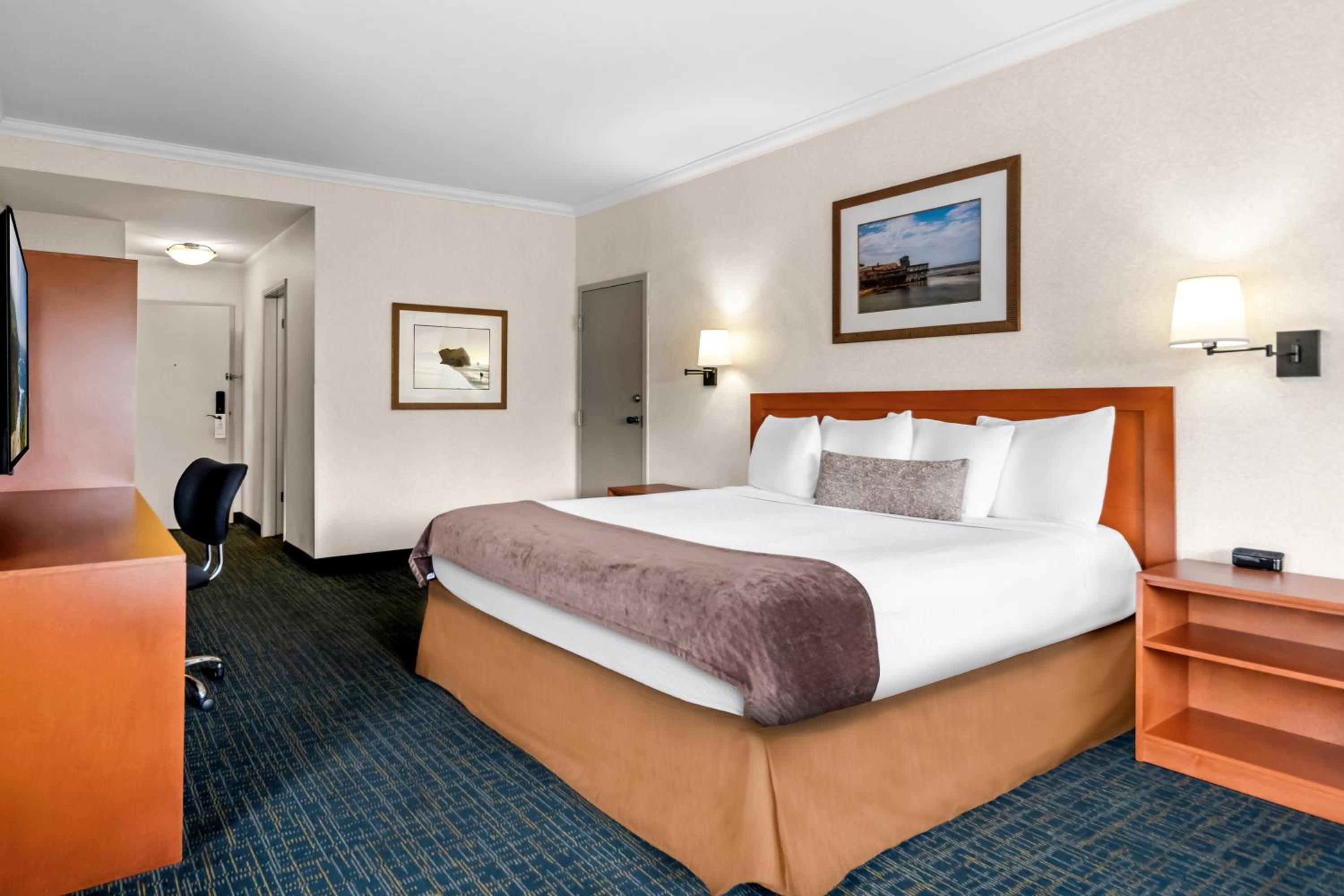 King Room - Pet Friendly/Non-Smoking