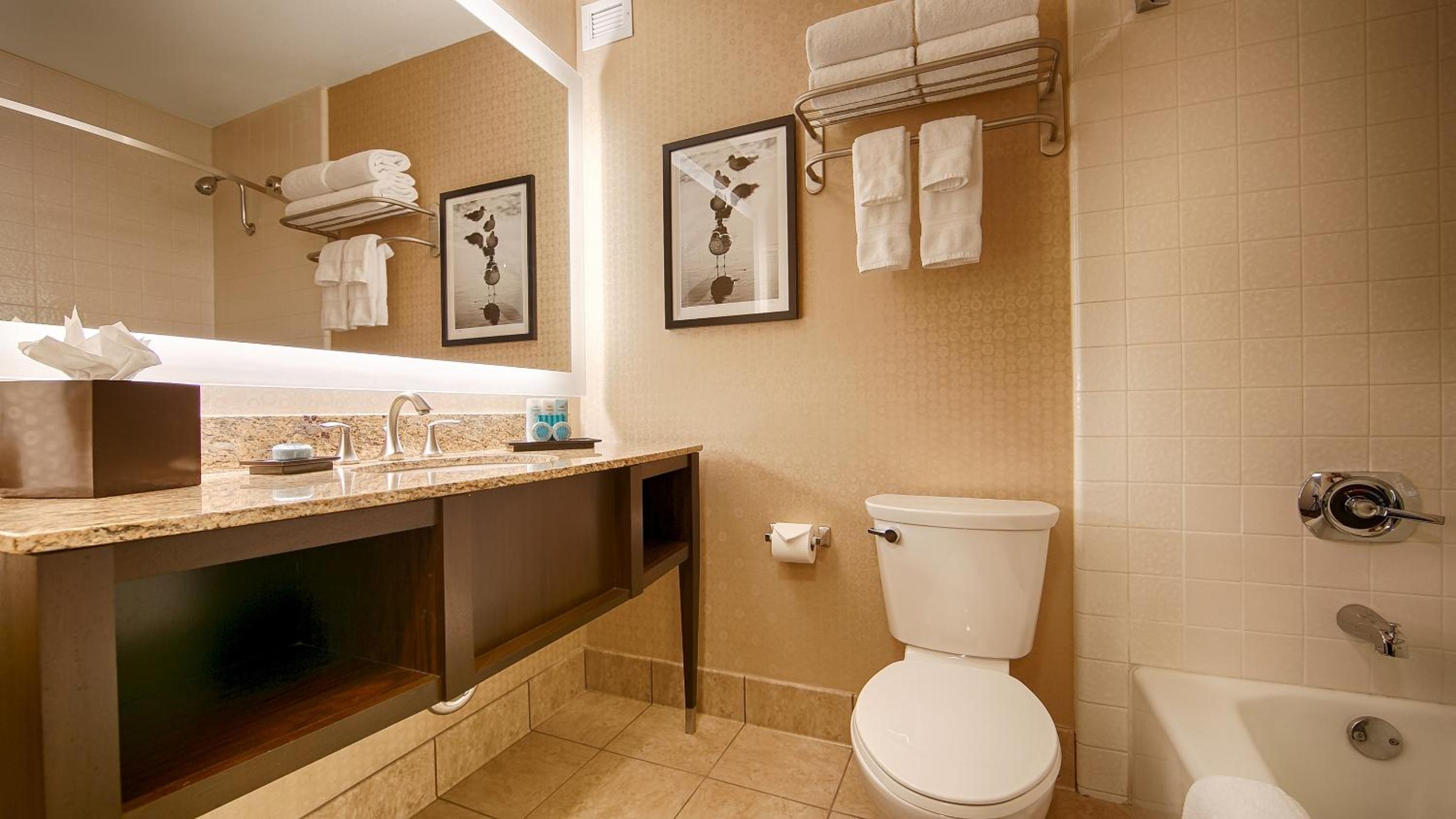 King Room - Non-Smoking