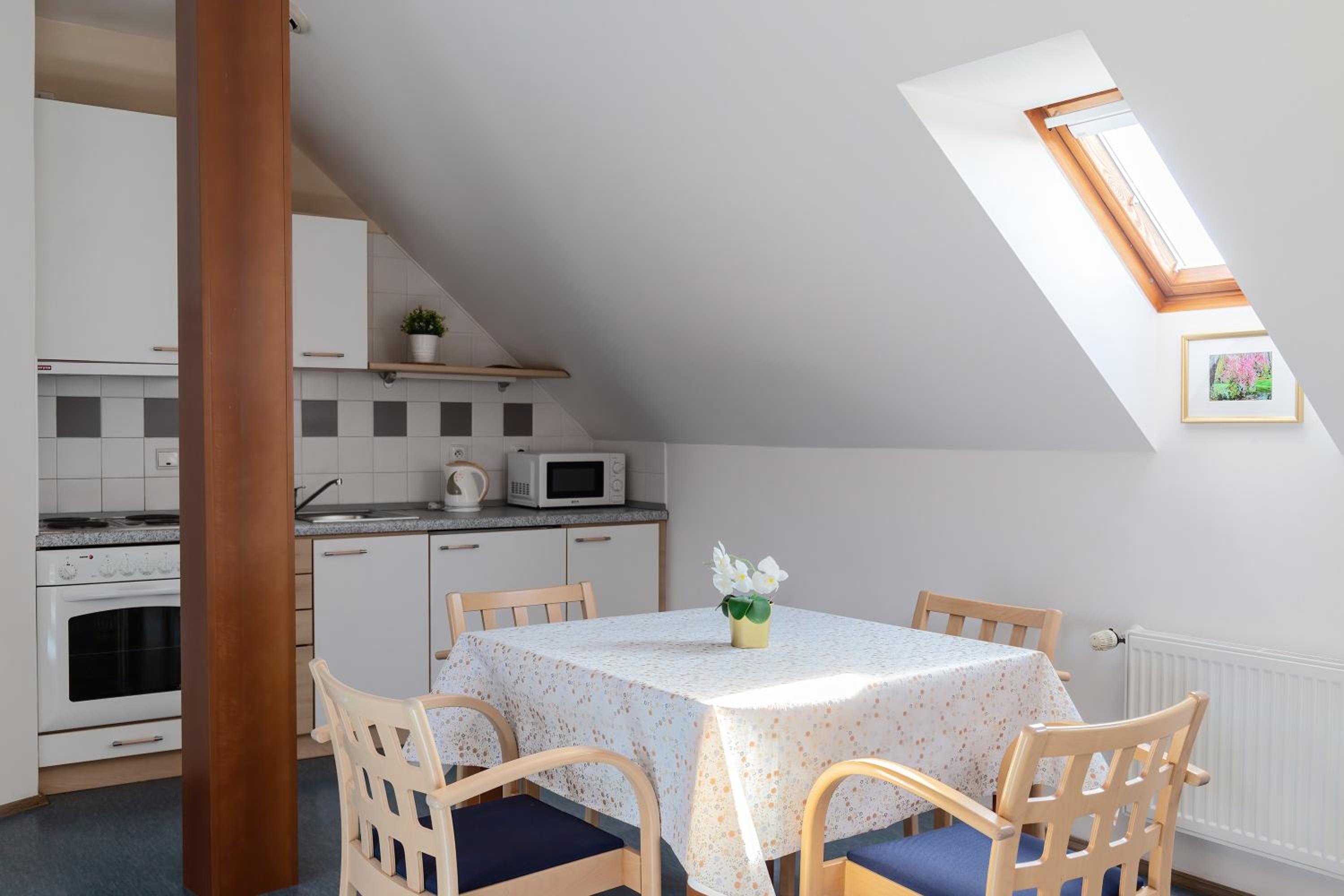 Studio Apartment - Attic