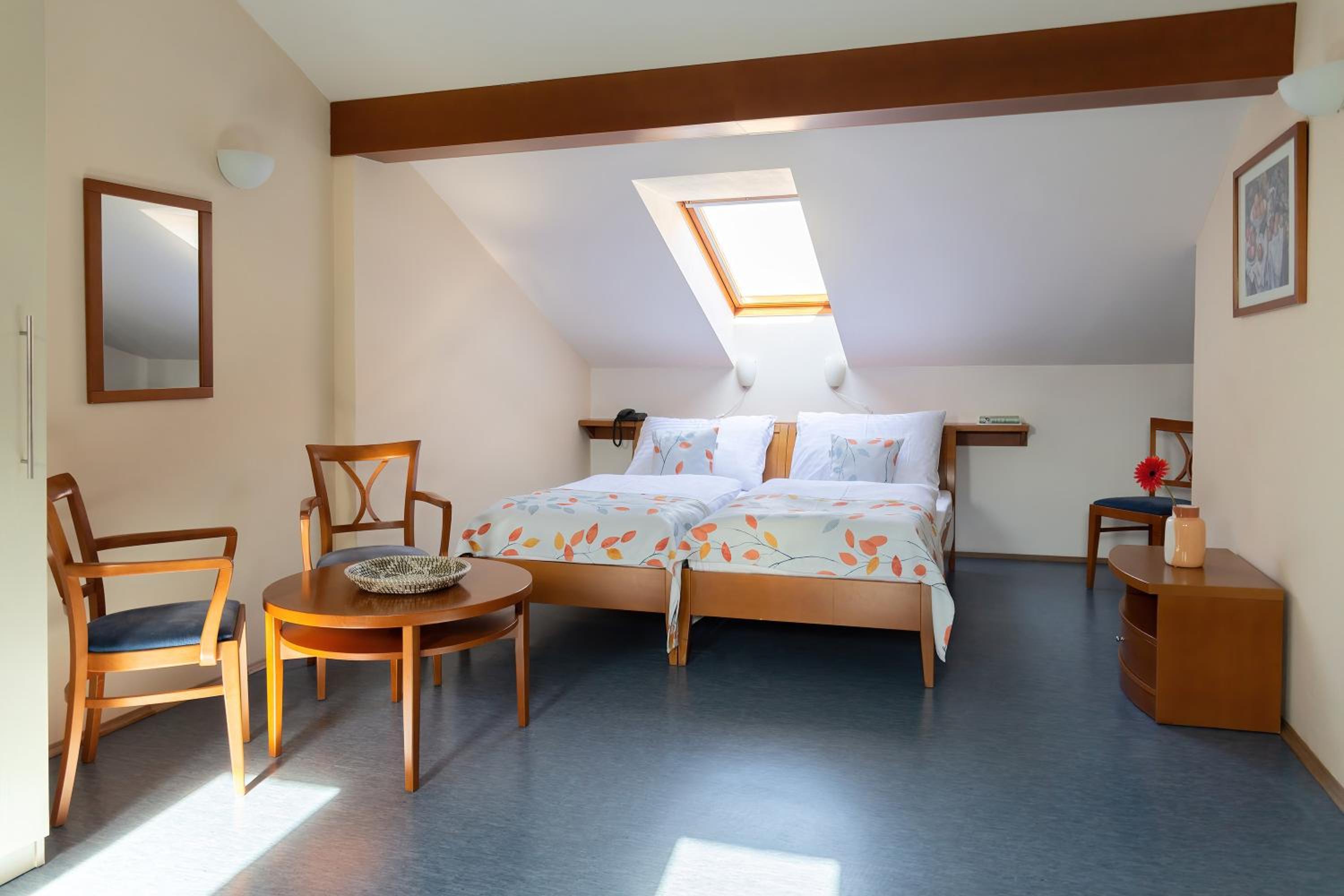 Studio Apartment - Attic