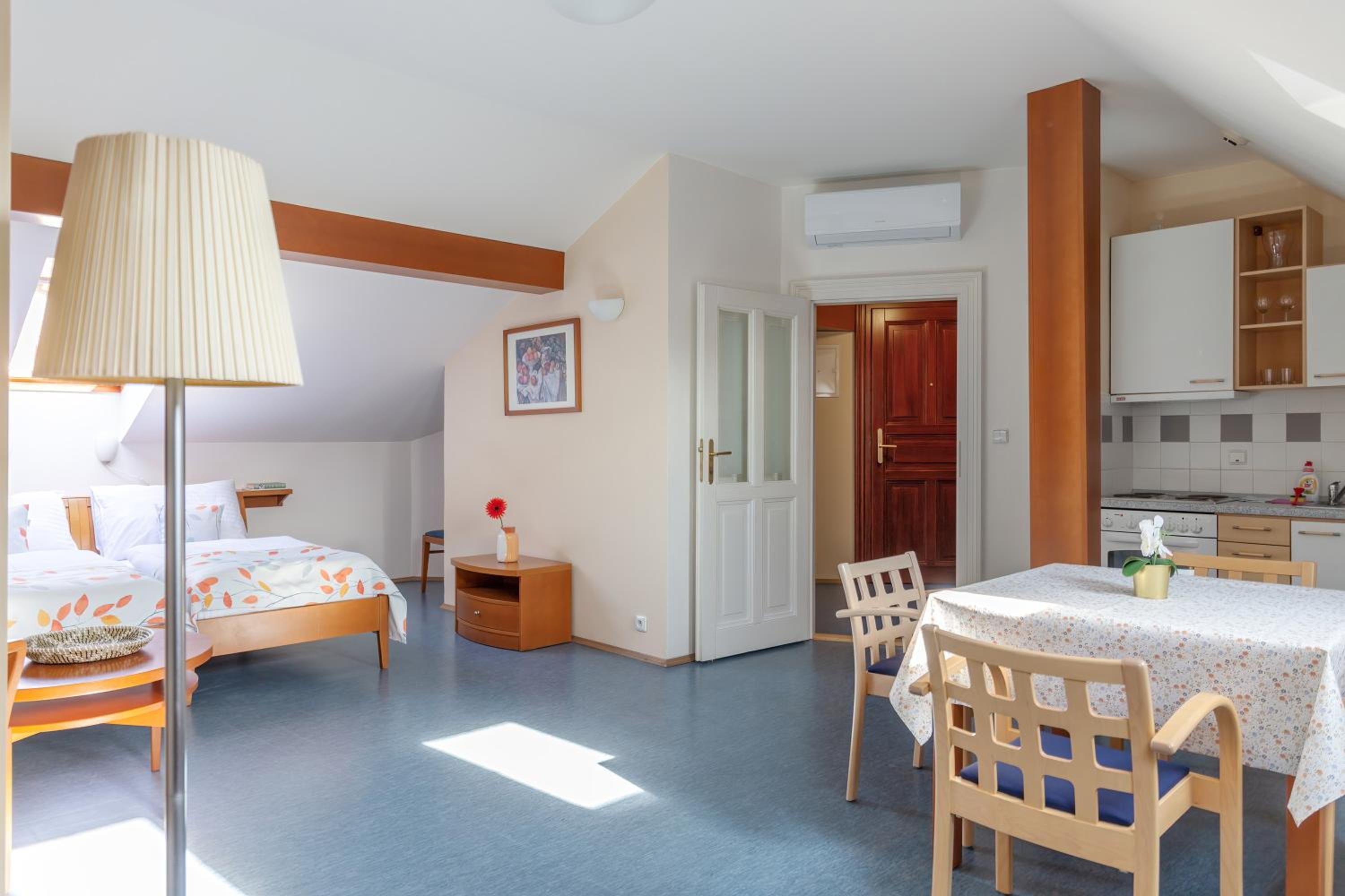 Studio Apartment - Attic