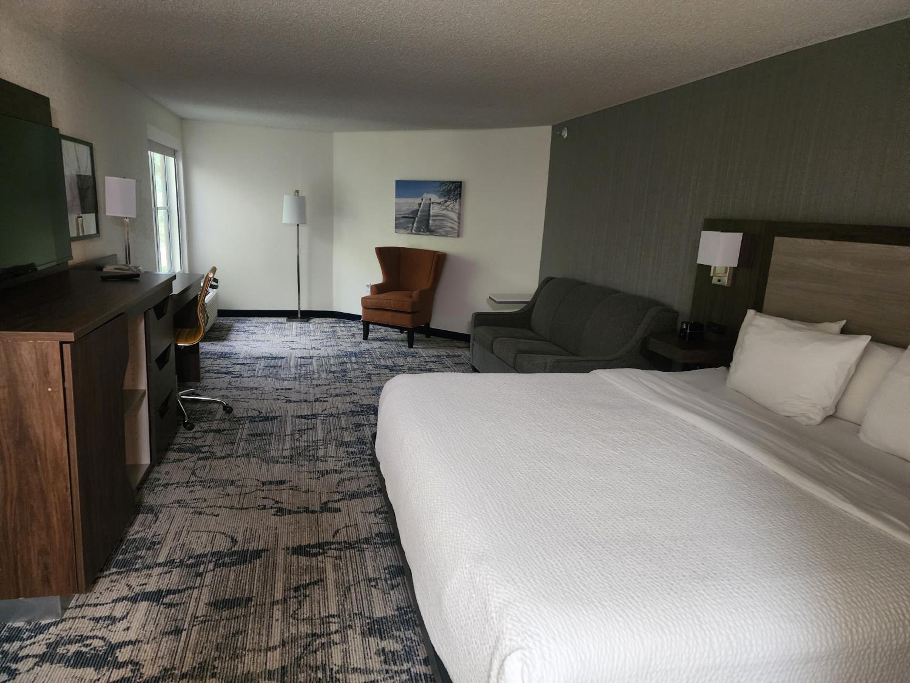 King Studio Suite - Pet-Friendly/Non-Smoking