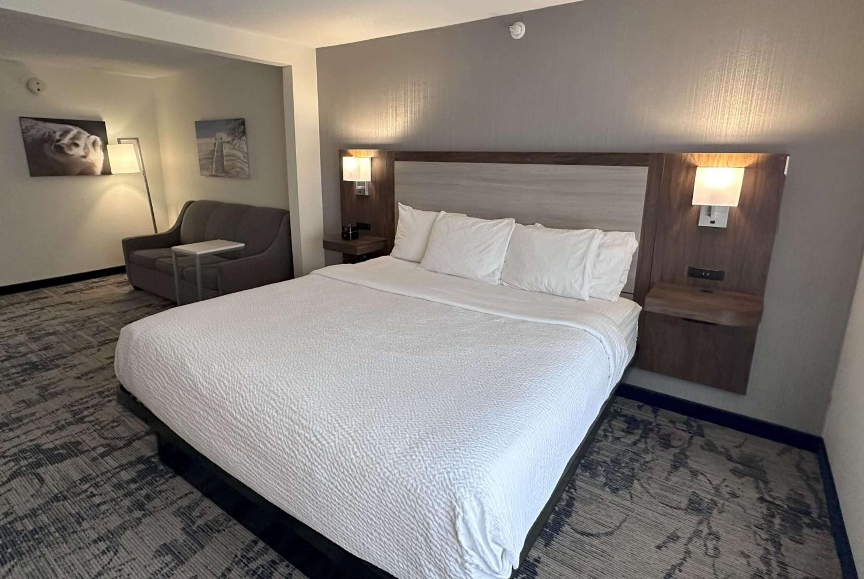 King Studio Suite - Pet-Friendly/Non-Smoking