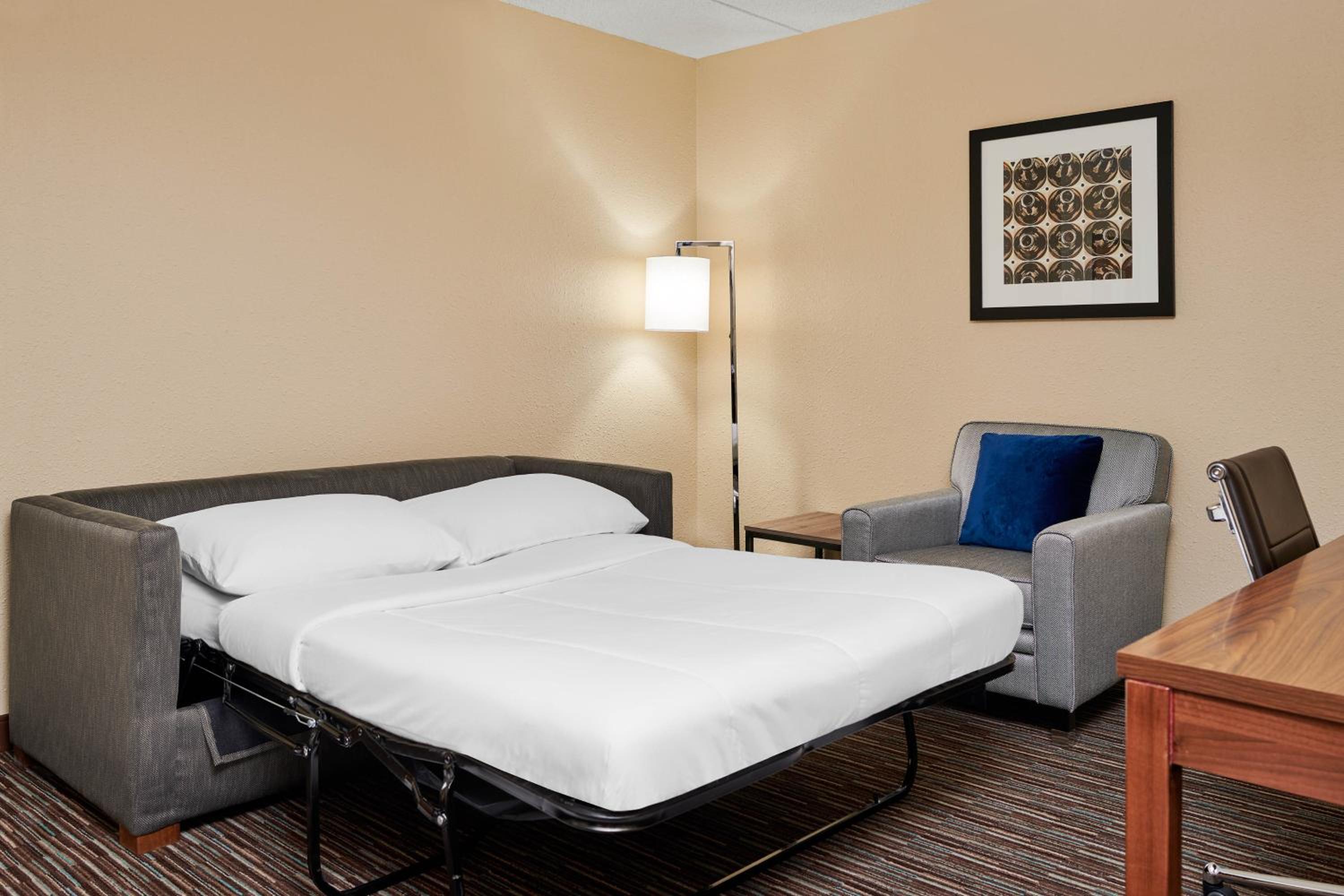 1 Bedroom Suite, 1 King, Sofa Bed