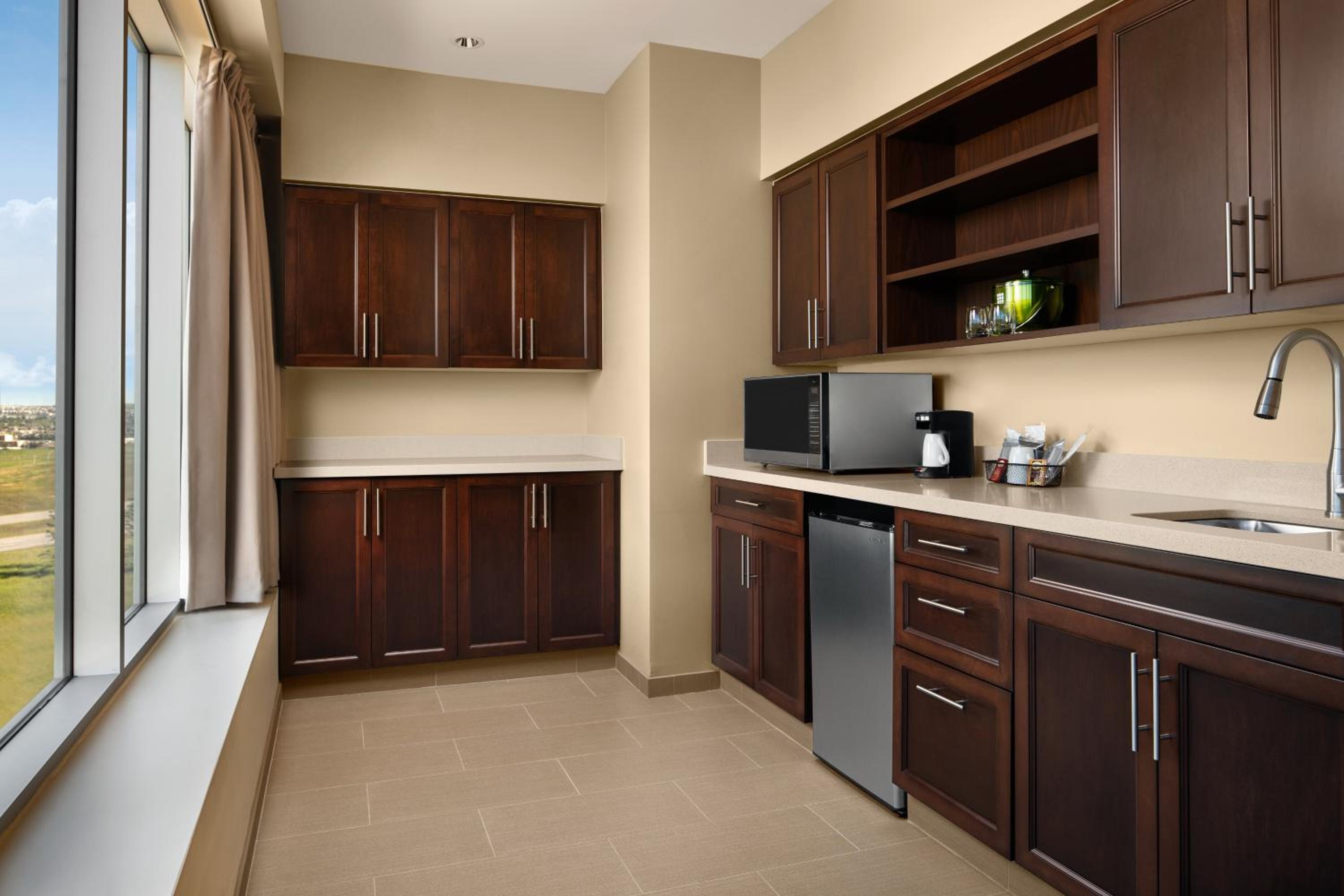 One-Bedroom King Suite