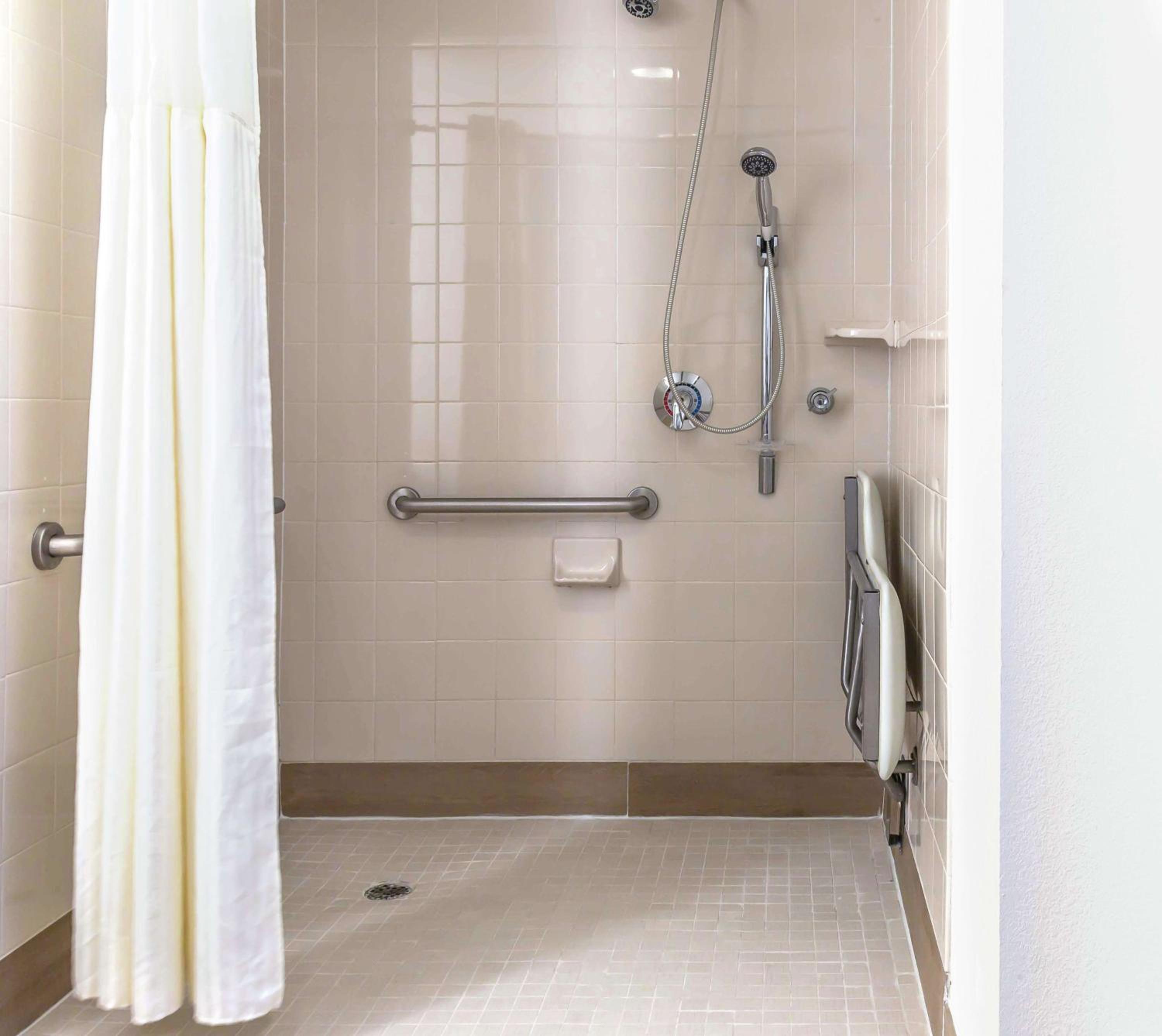 King Studio with Roll-In Shower - Mobility and Hearing Access/Non-Smoking