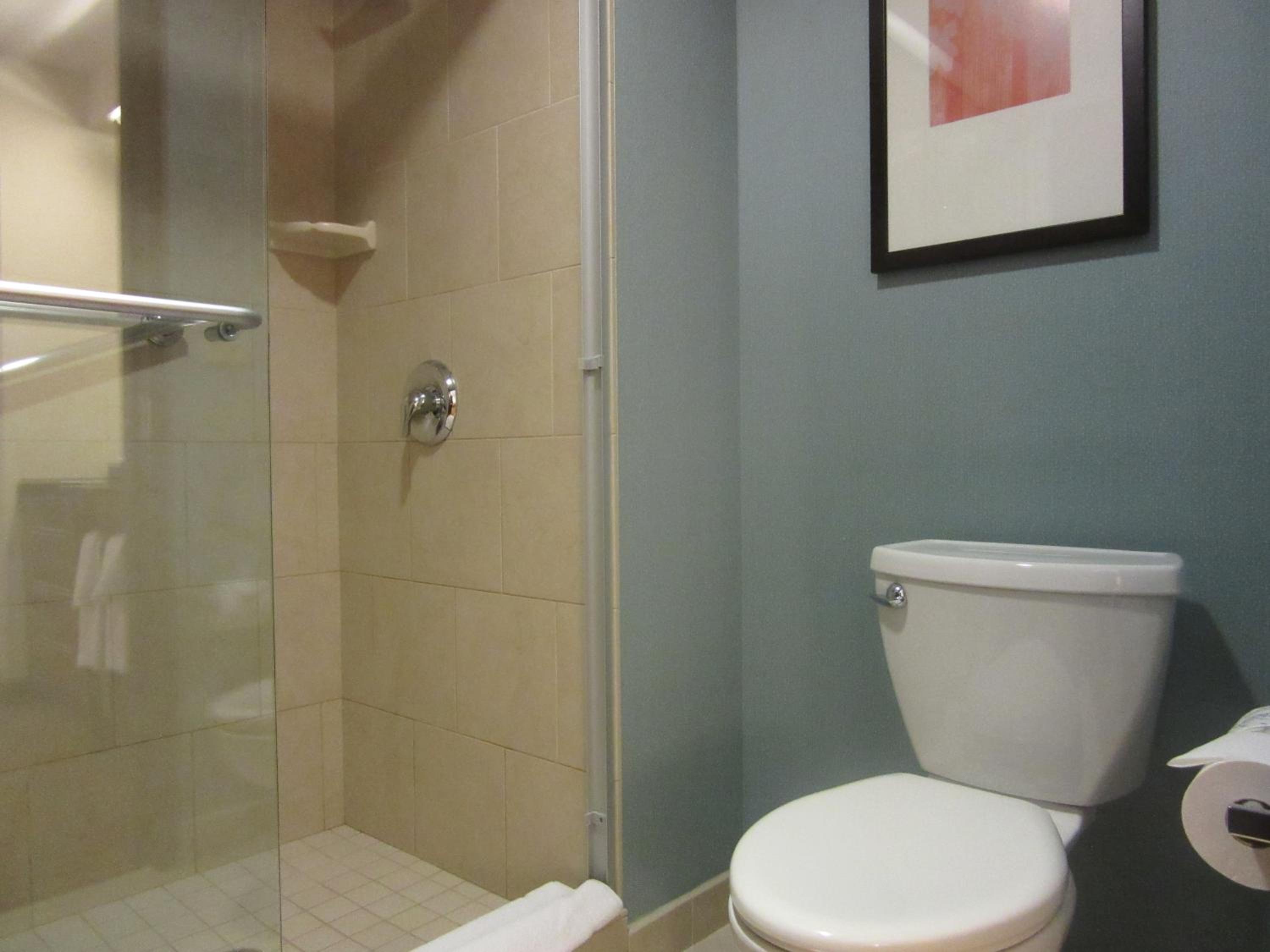 King Room with Sofa Bed and Accessible Tub - Disability Access