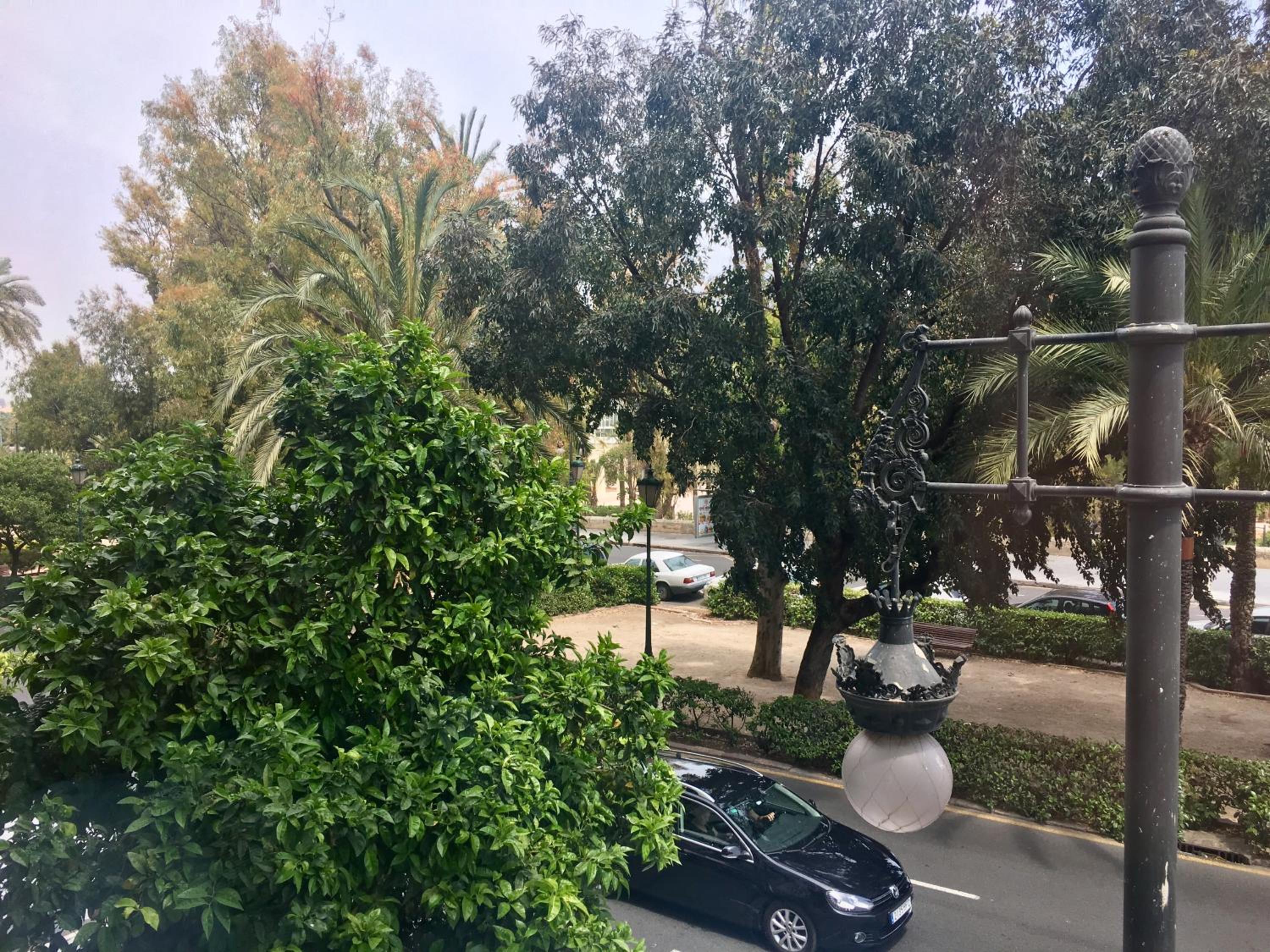 Standard Double Room with Views