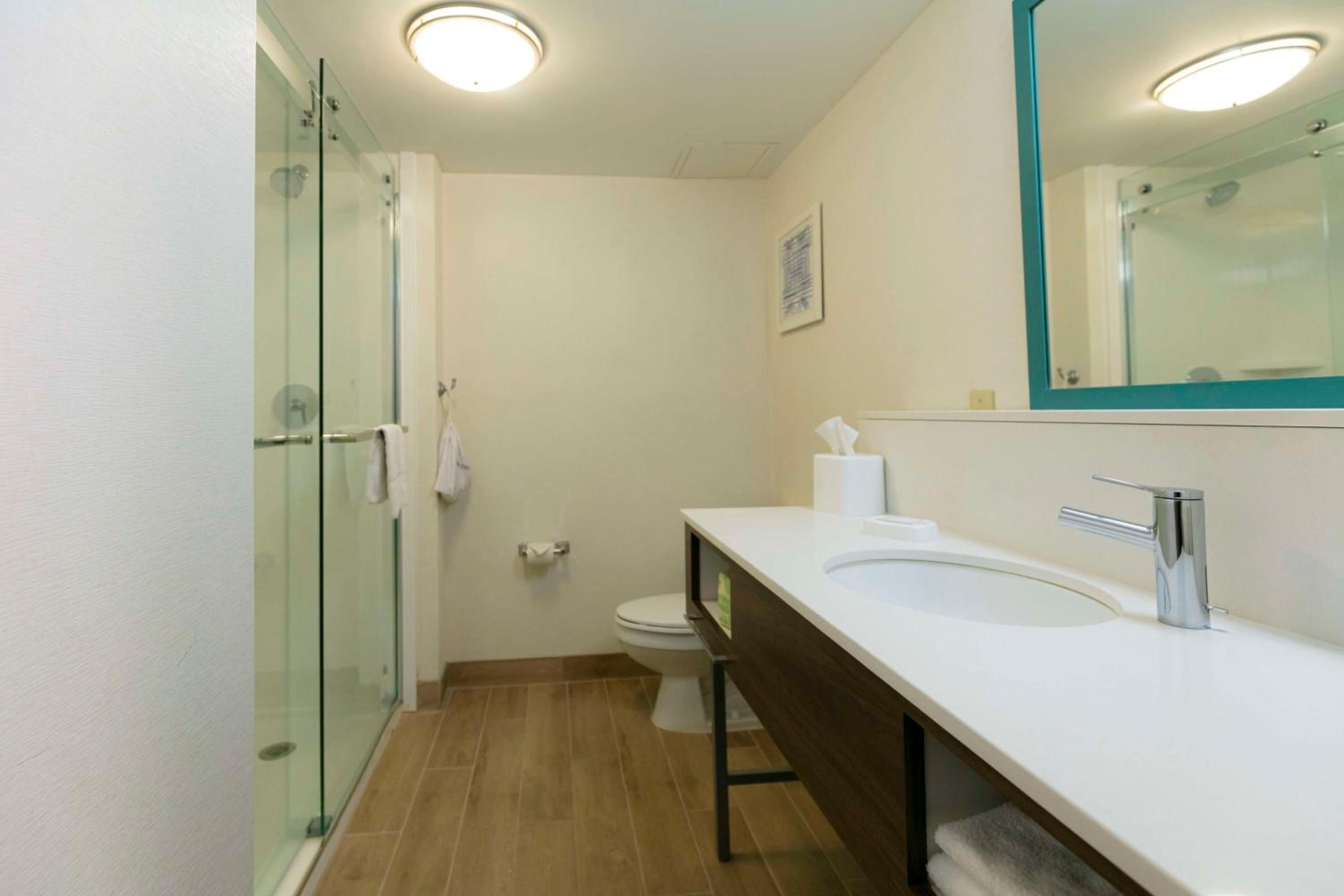 Extended King Room with Sofa Bed