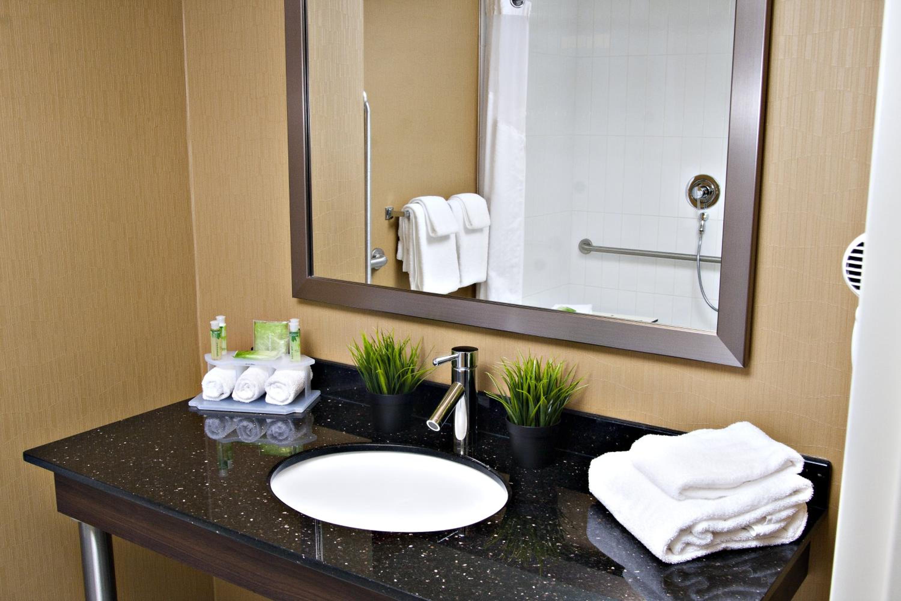 King Suite with Mobility Accessible Roll-In Shower