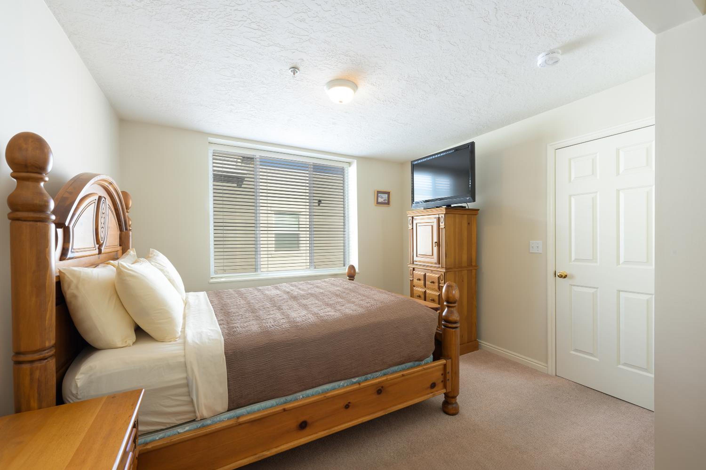 Deluxe One-Bedroom Apartment