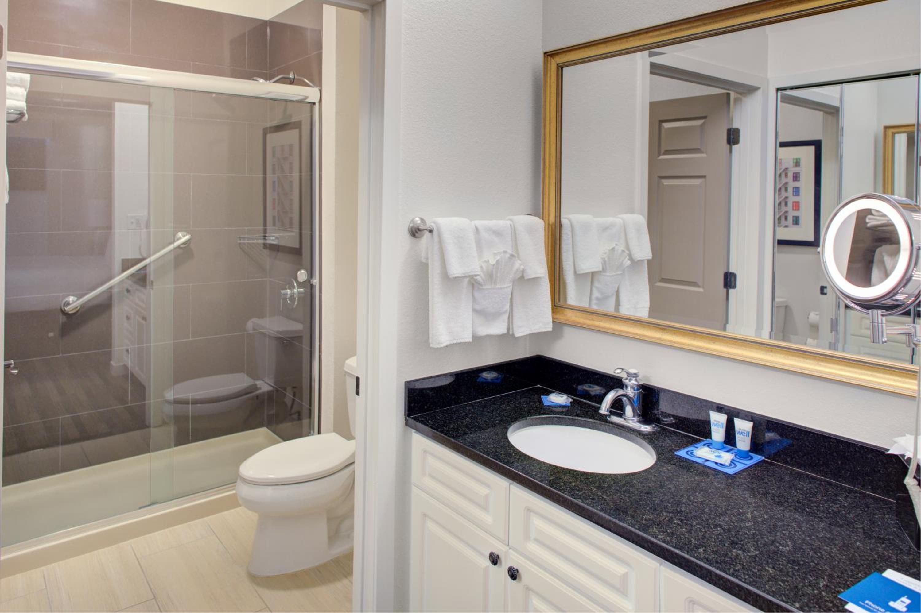 One-Bedroom King Suite