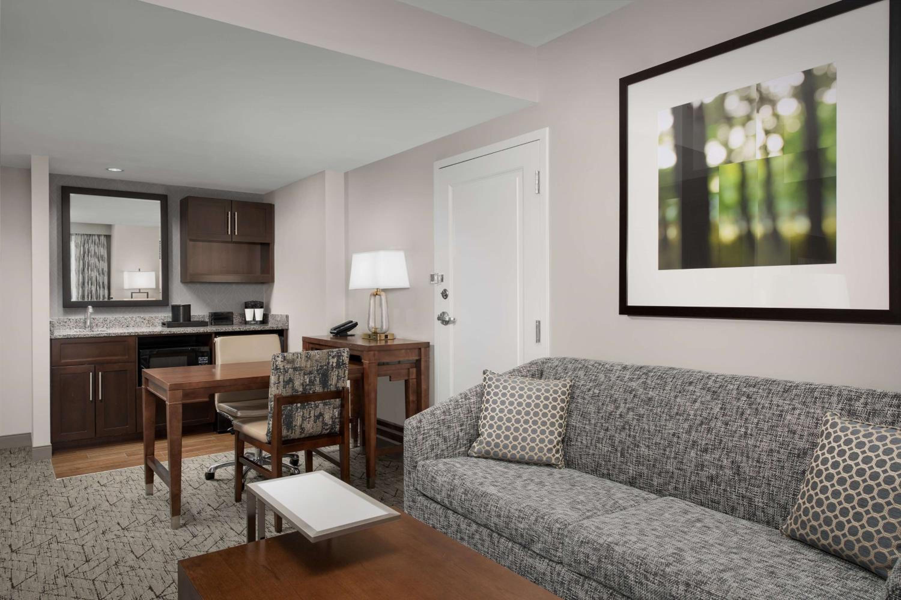 One-Bedroom King Suite - Non-Smoking