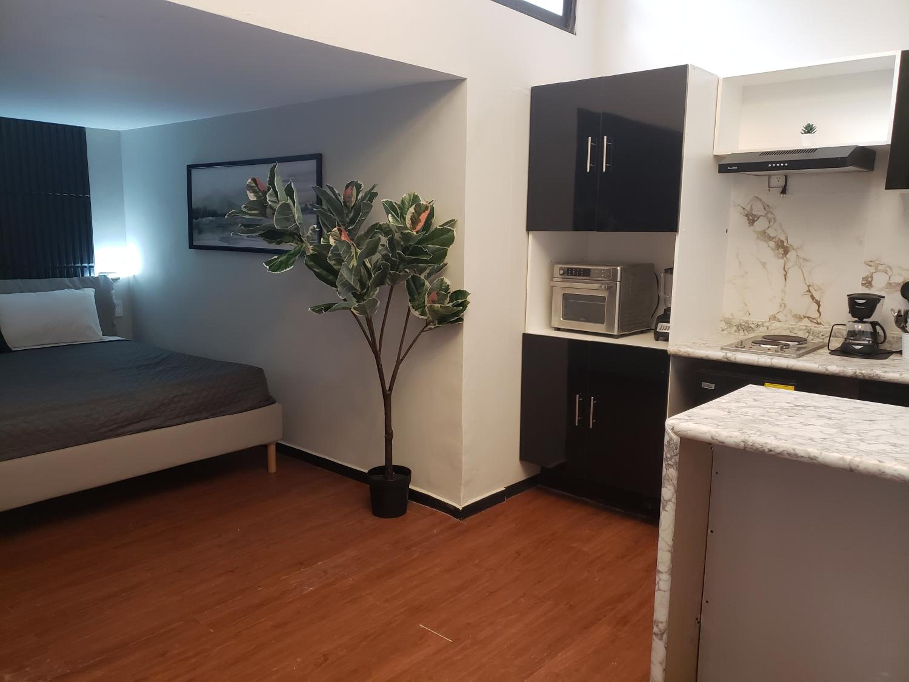 Superior King Suite