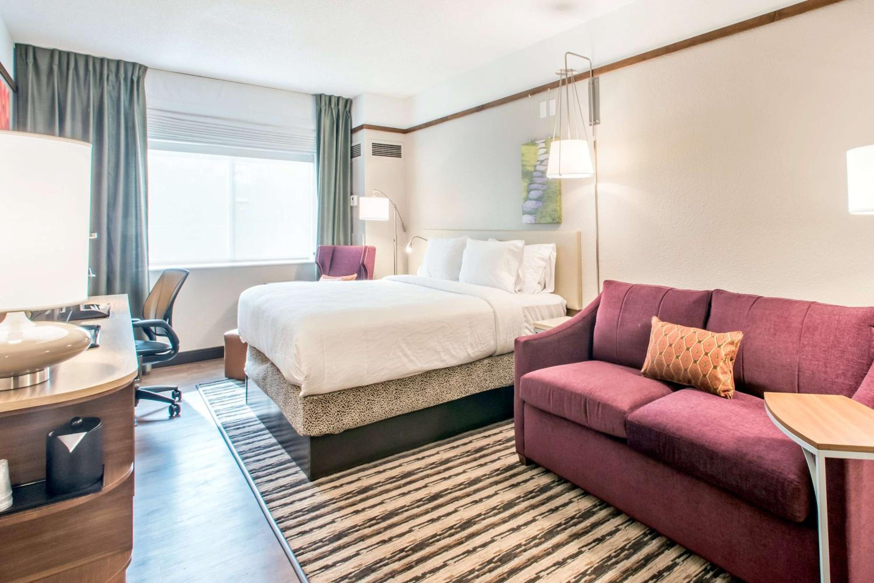 Junior King Suite with Sofa Bed