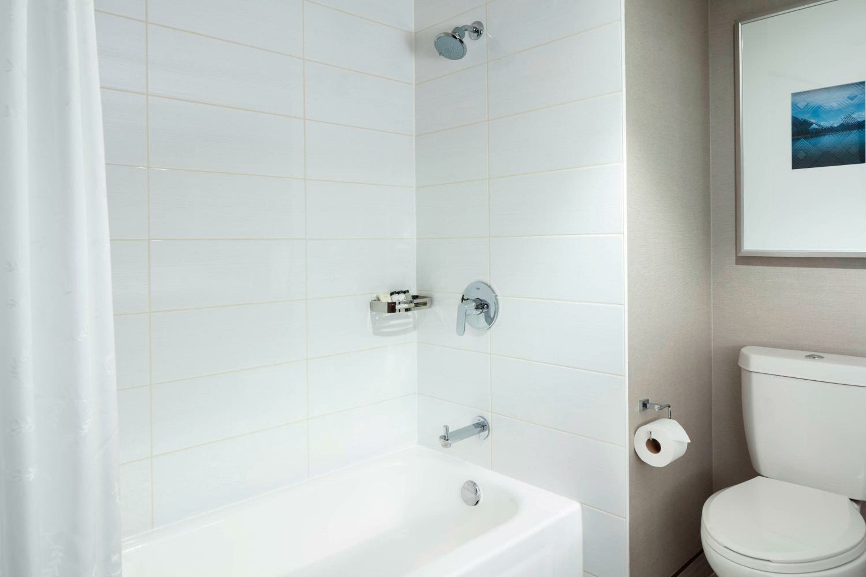 Traditional King Room with Sofa Bed