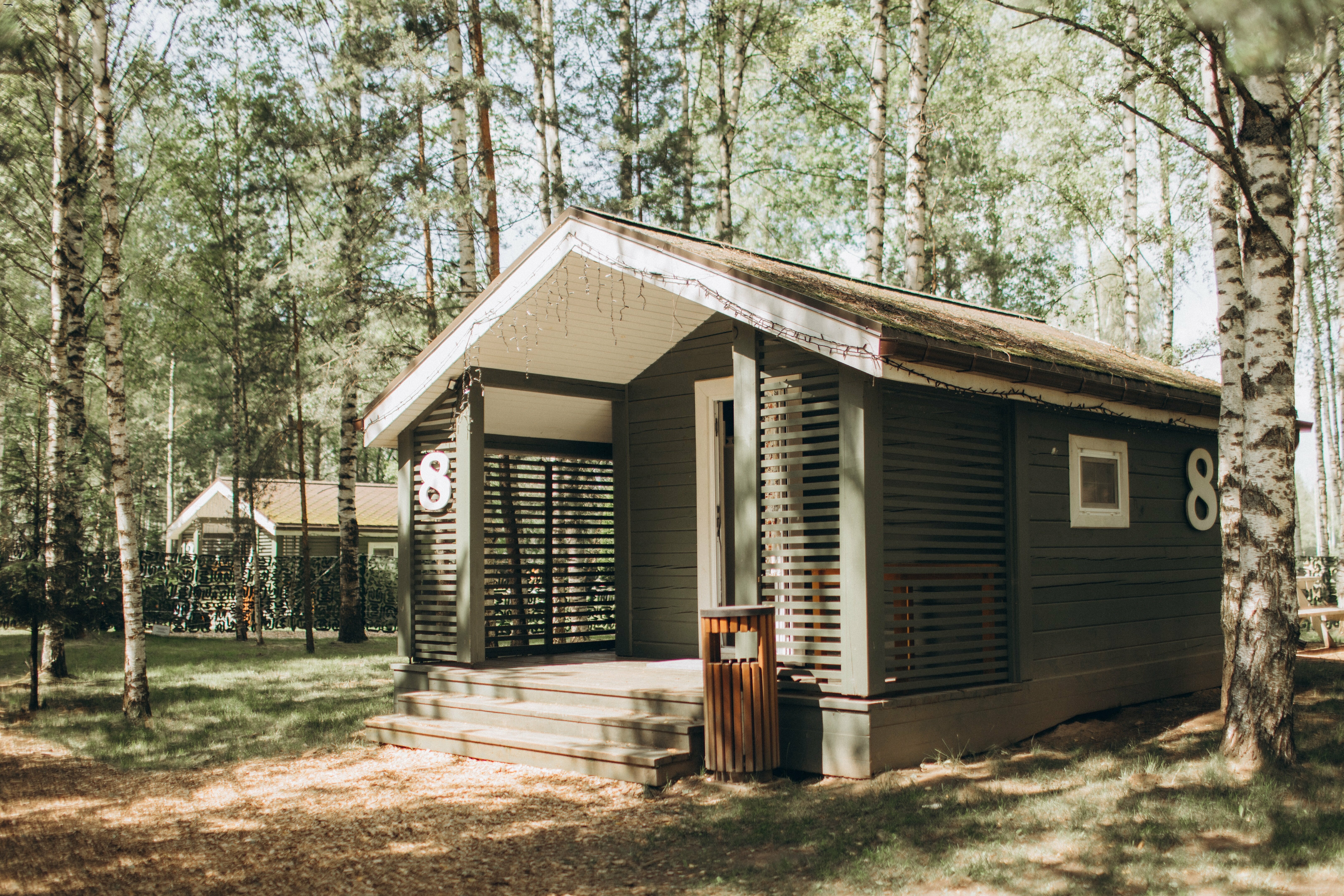 Домик в берёзовой роще