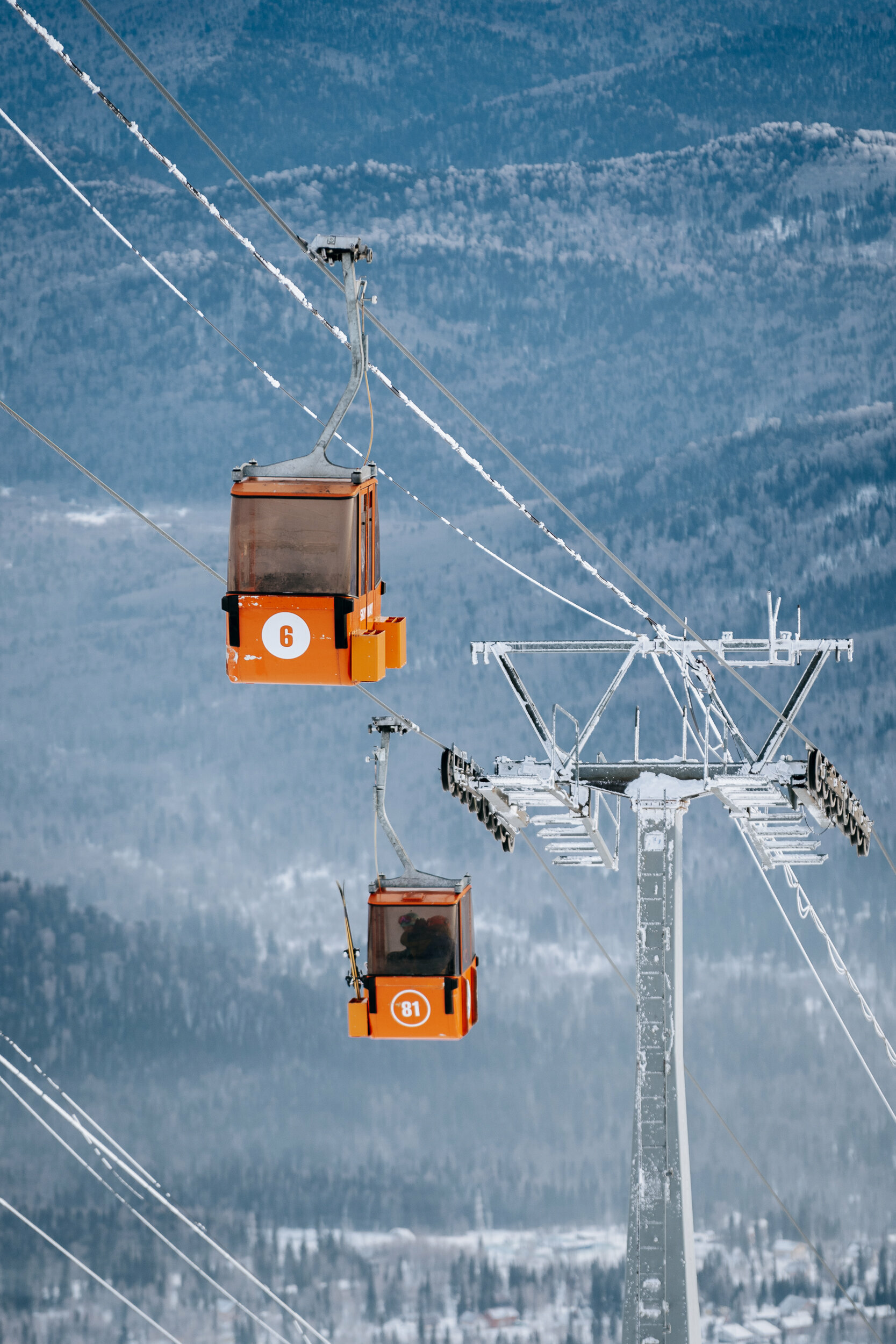 Бюджетный двухместный номер с 2 отдельными кроватями