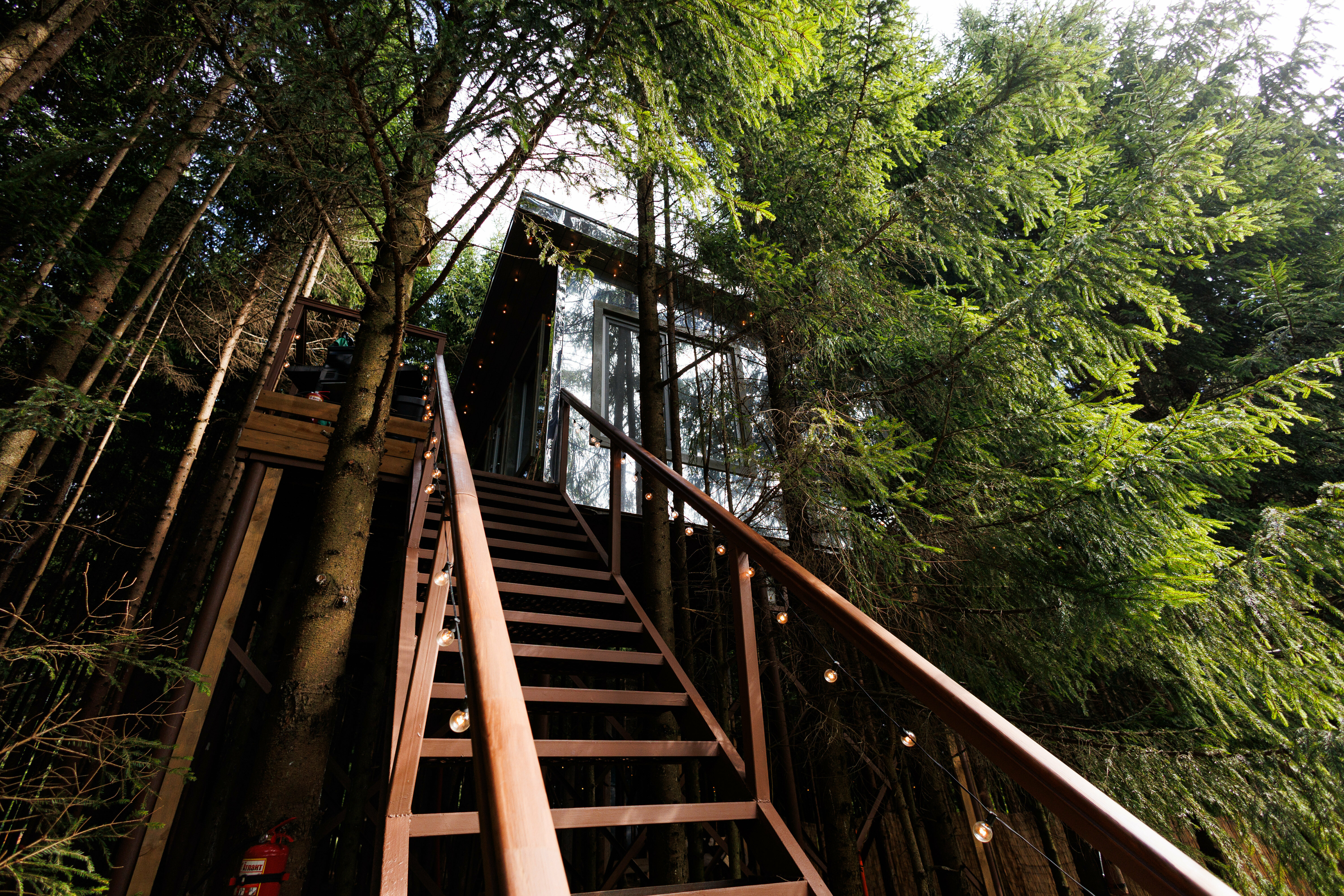 Зеркальный дом на дереве Романтик