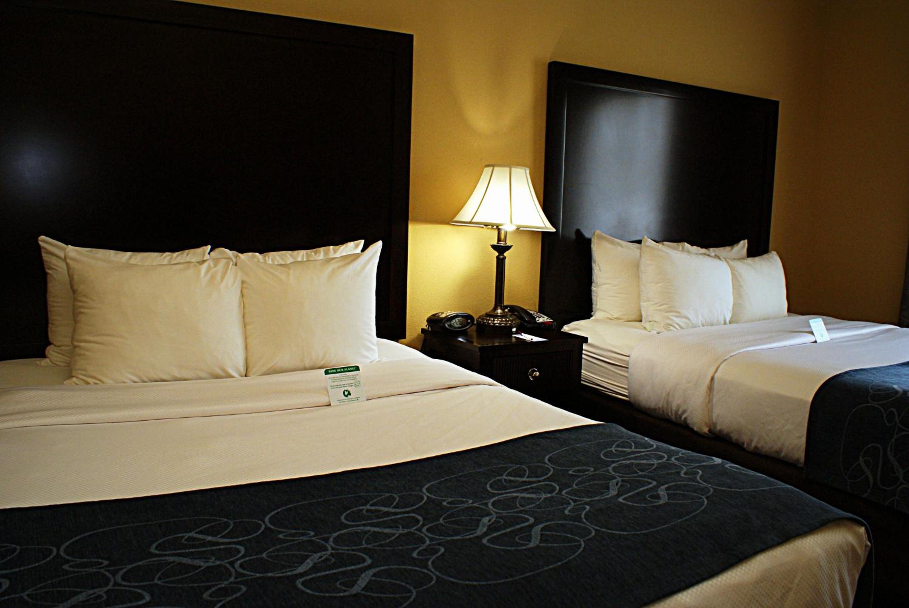 Queen Suite with Two Queen Beds - Non-Smoking