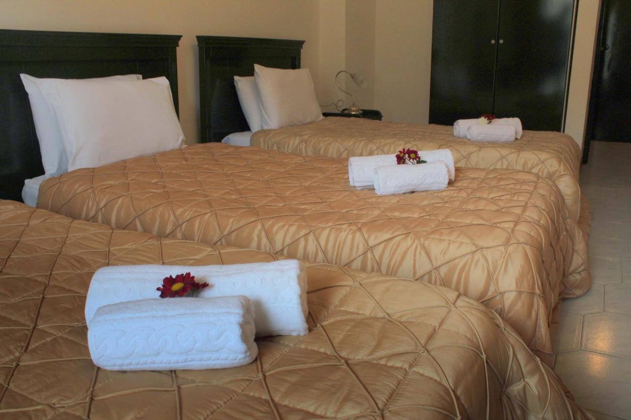 Standard Triple Room with Meteora View