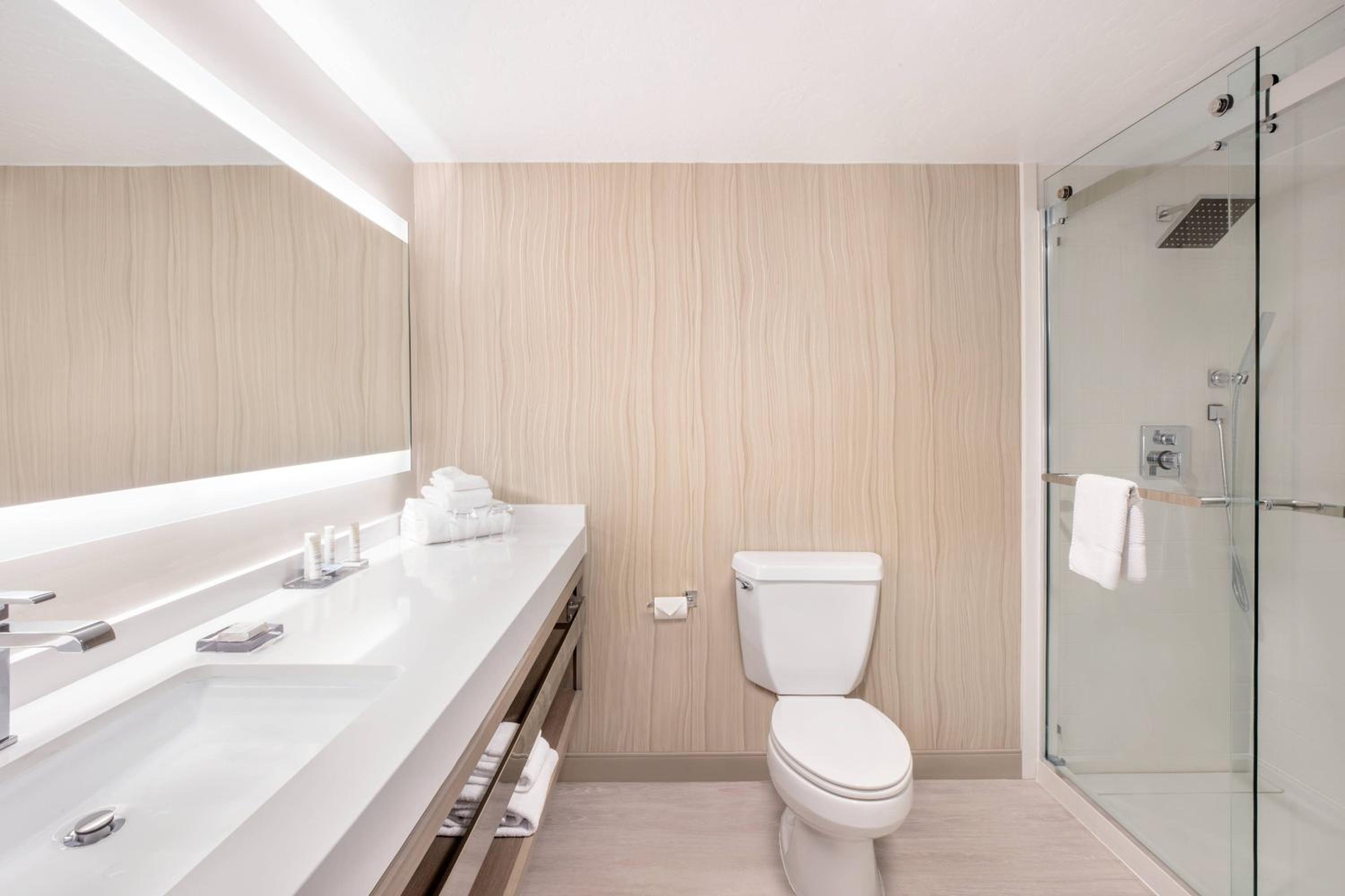 King Room with Sofa Bed