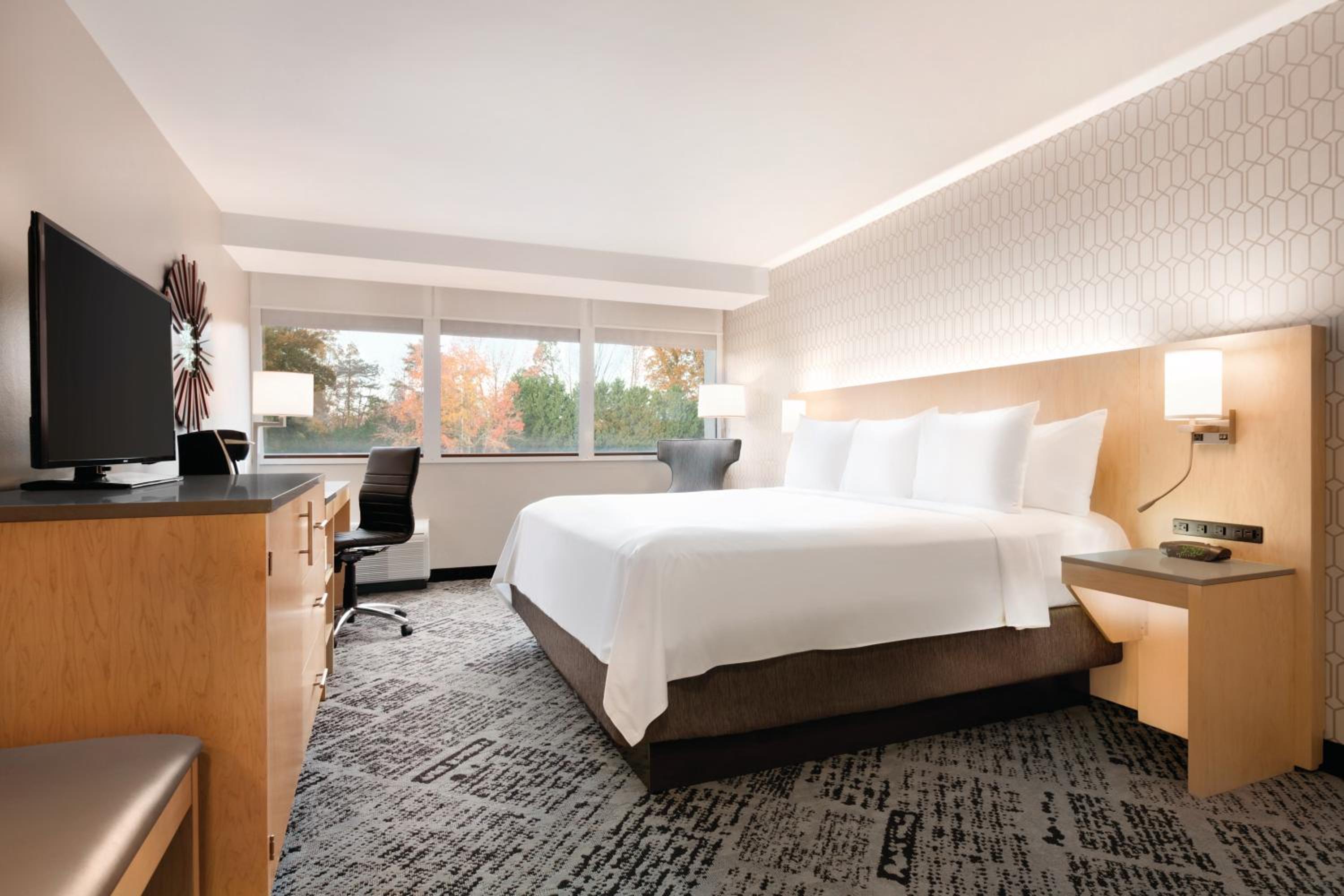 King Room - Non-Smoking