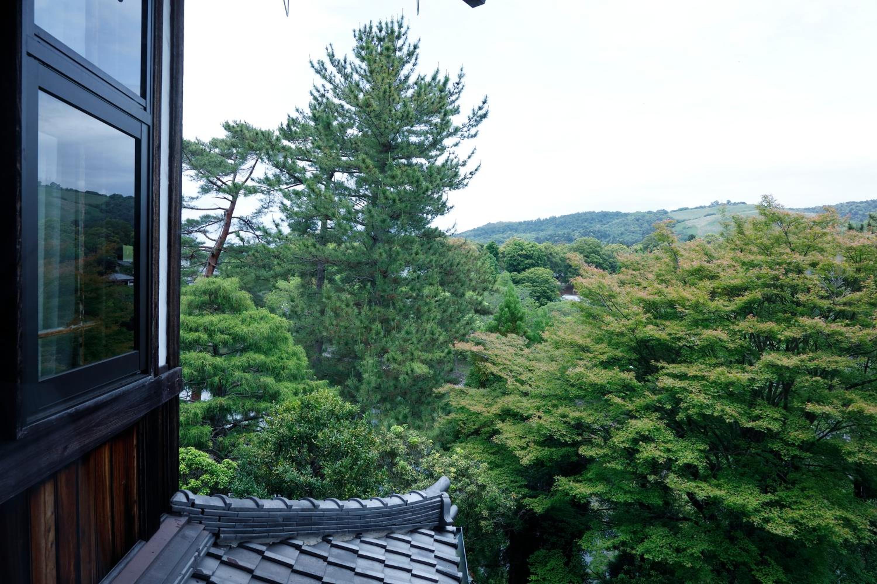 Standard Twin Room with Park View - Main Wing - Non-Smoking (25.5sqm)