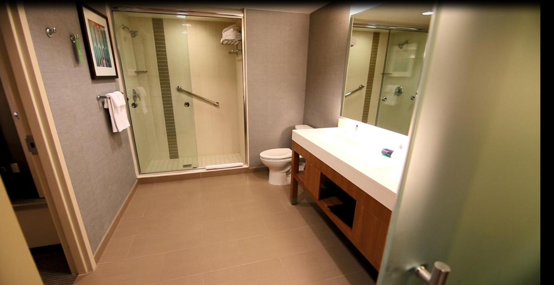 One-Bedroom King Suite with Sofa Bed