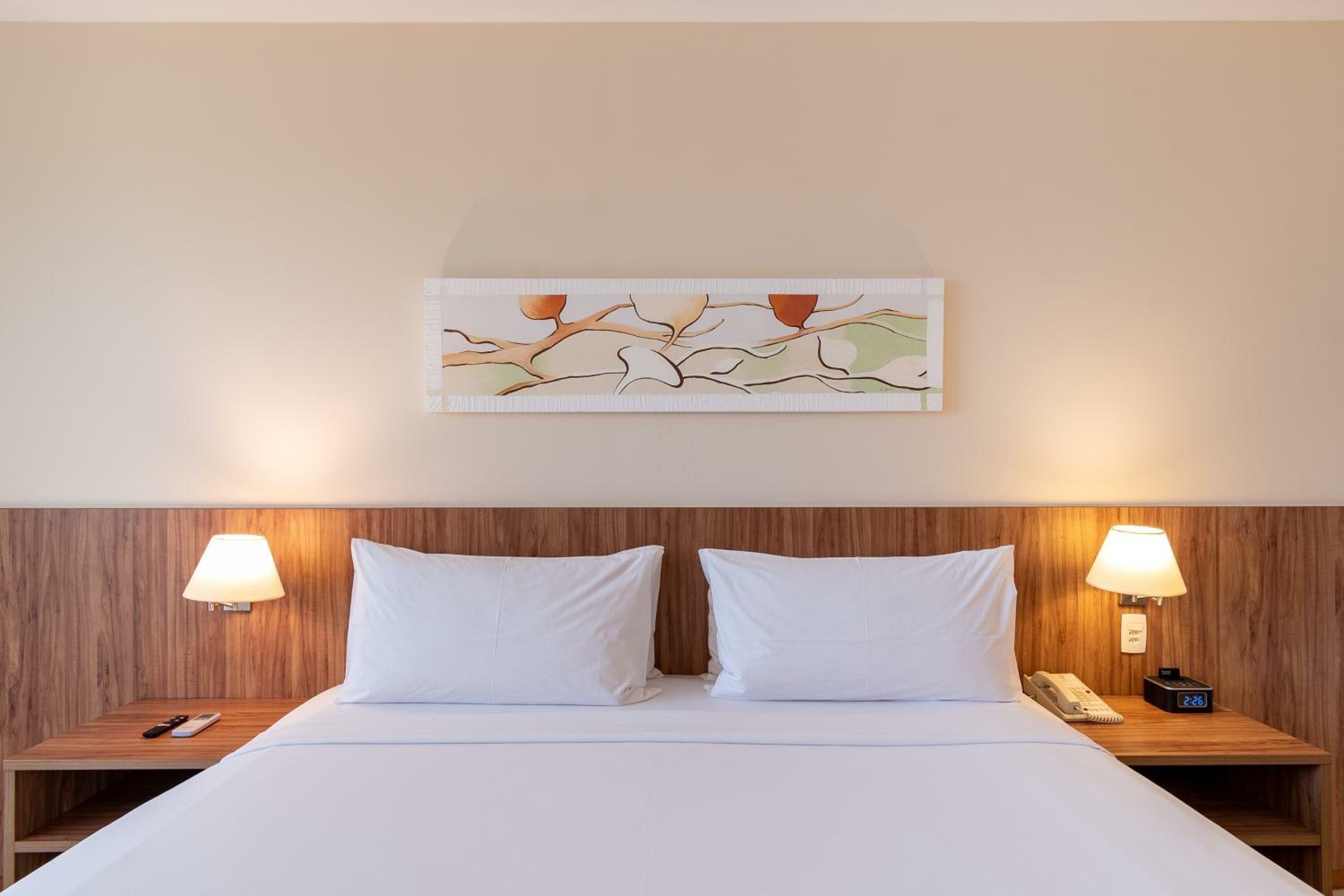 Standard King Room - Accessible