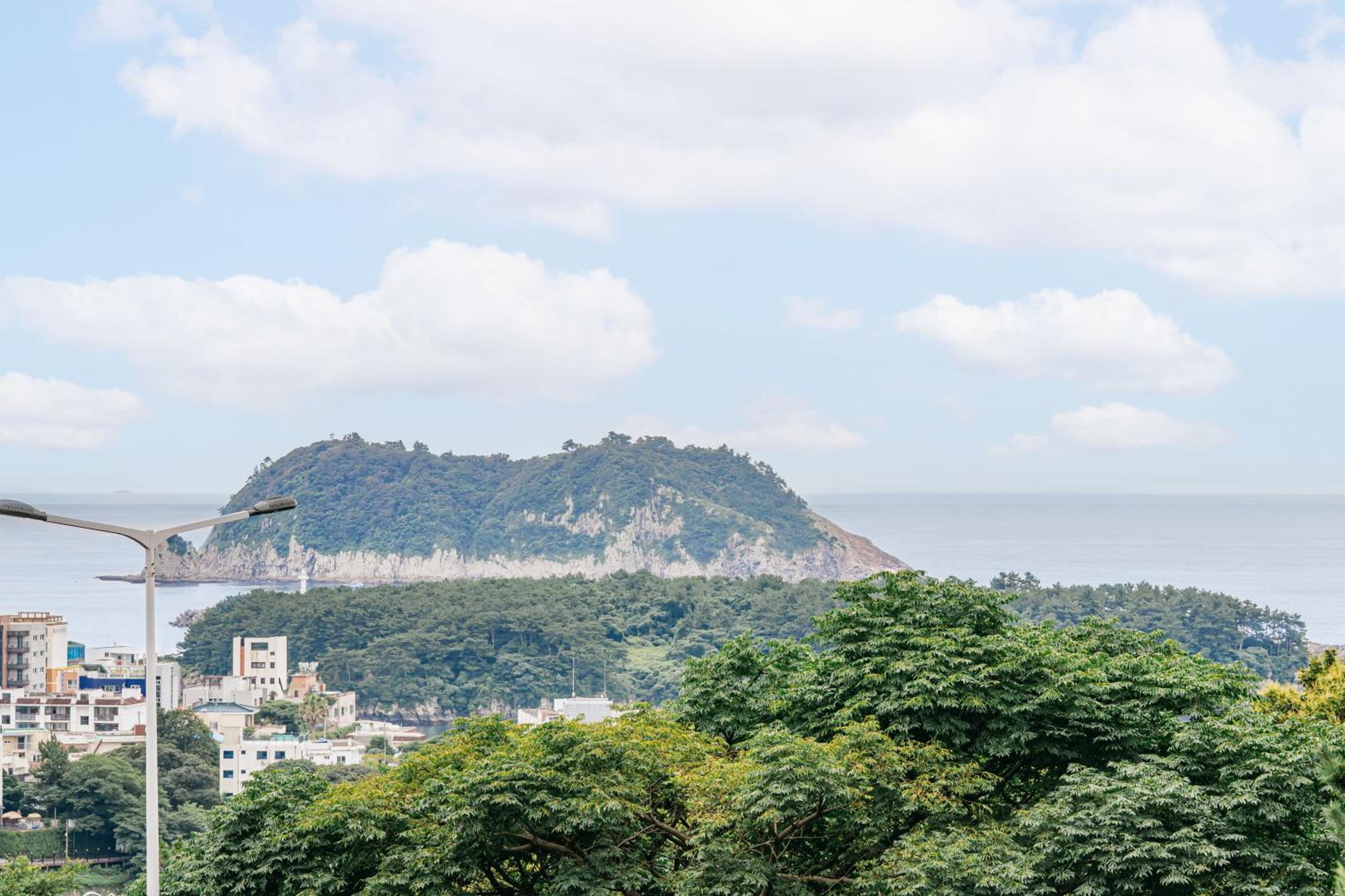 Pet Suite with Seaview