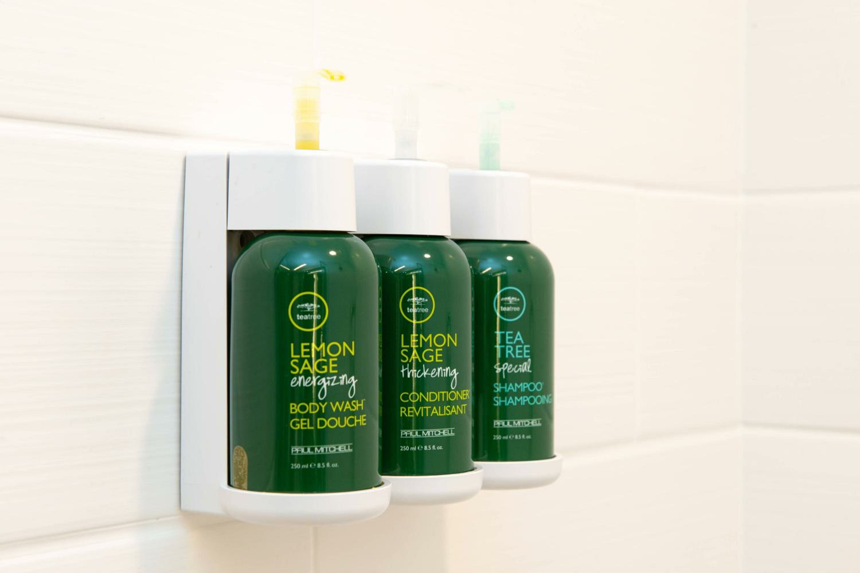 Suite, 1 King, Sofa bed, Trundle bed