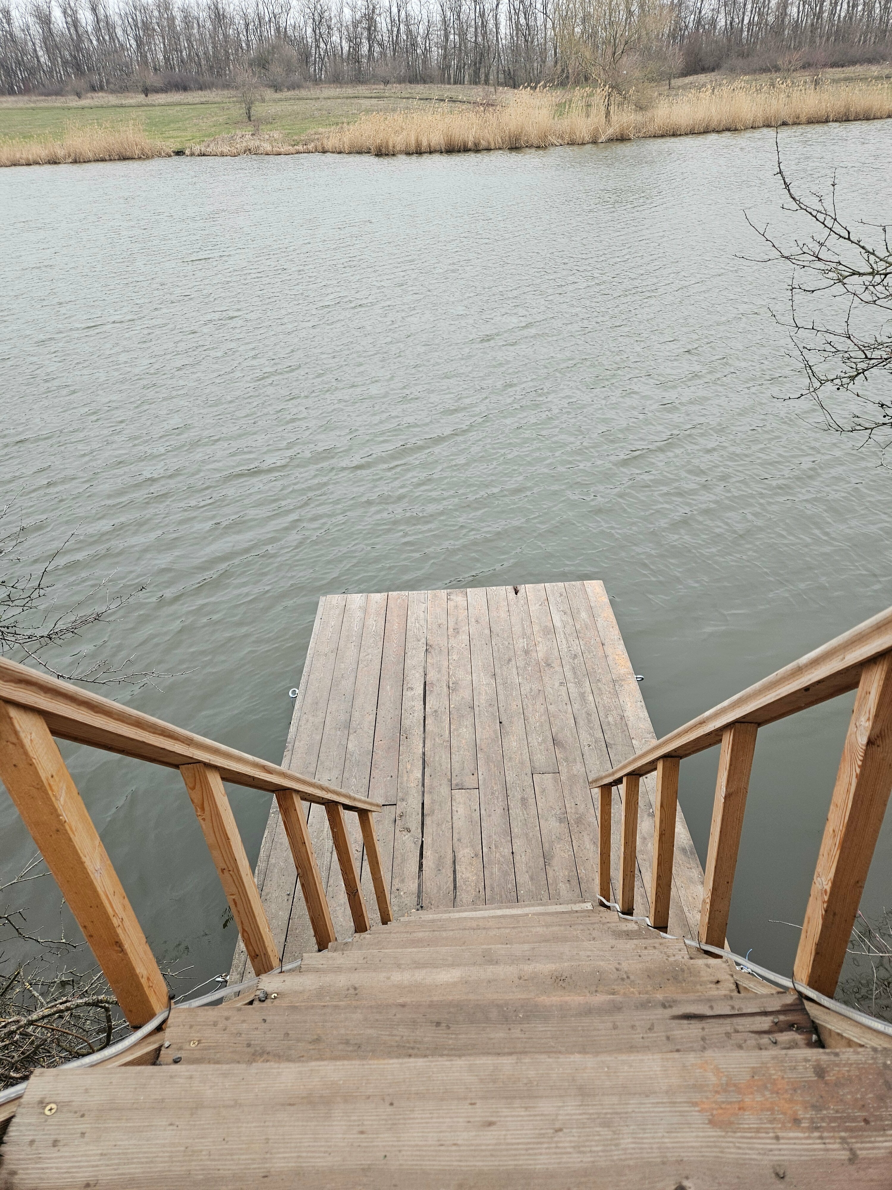 Семейный номер с террасой