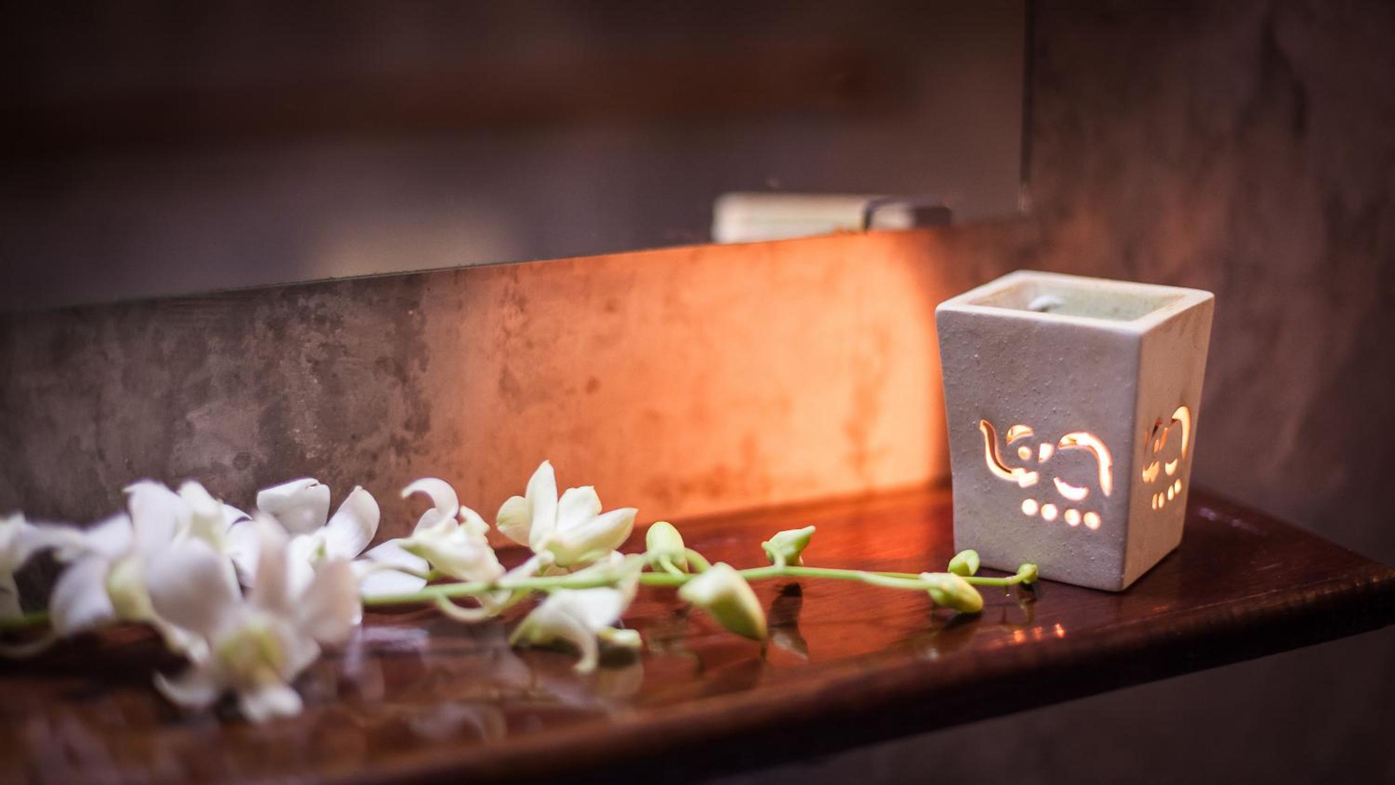 Front Garden Bungalow 